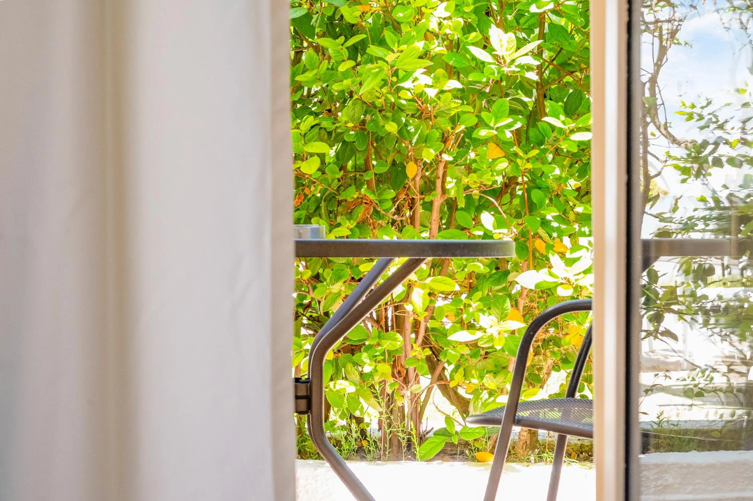 Balcony/Terrace in Princess Hotel