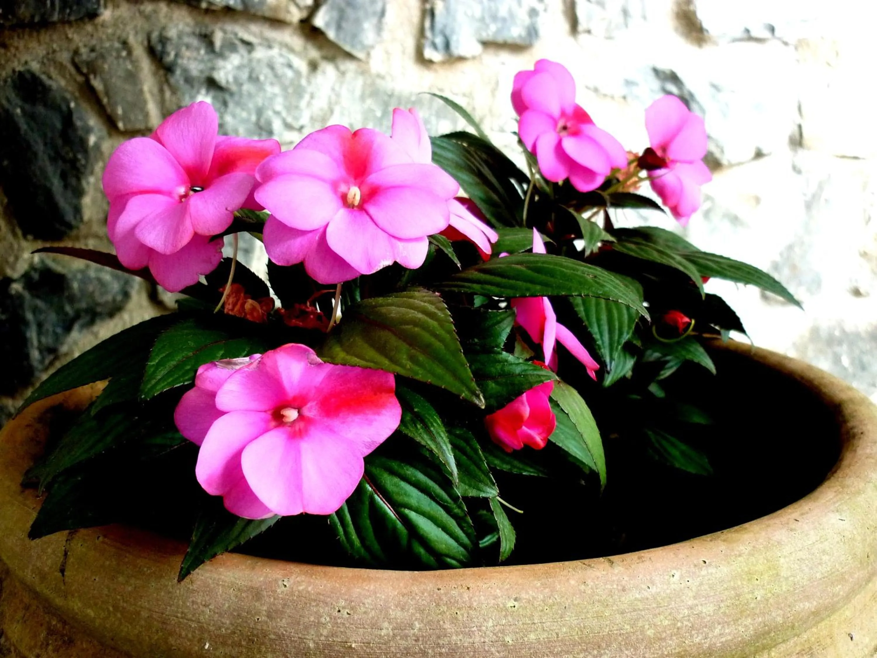 Property building in Costa Morroni