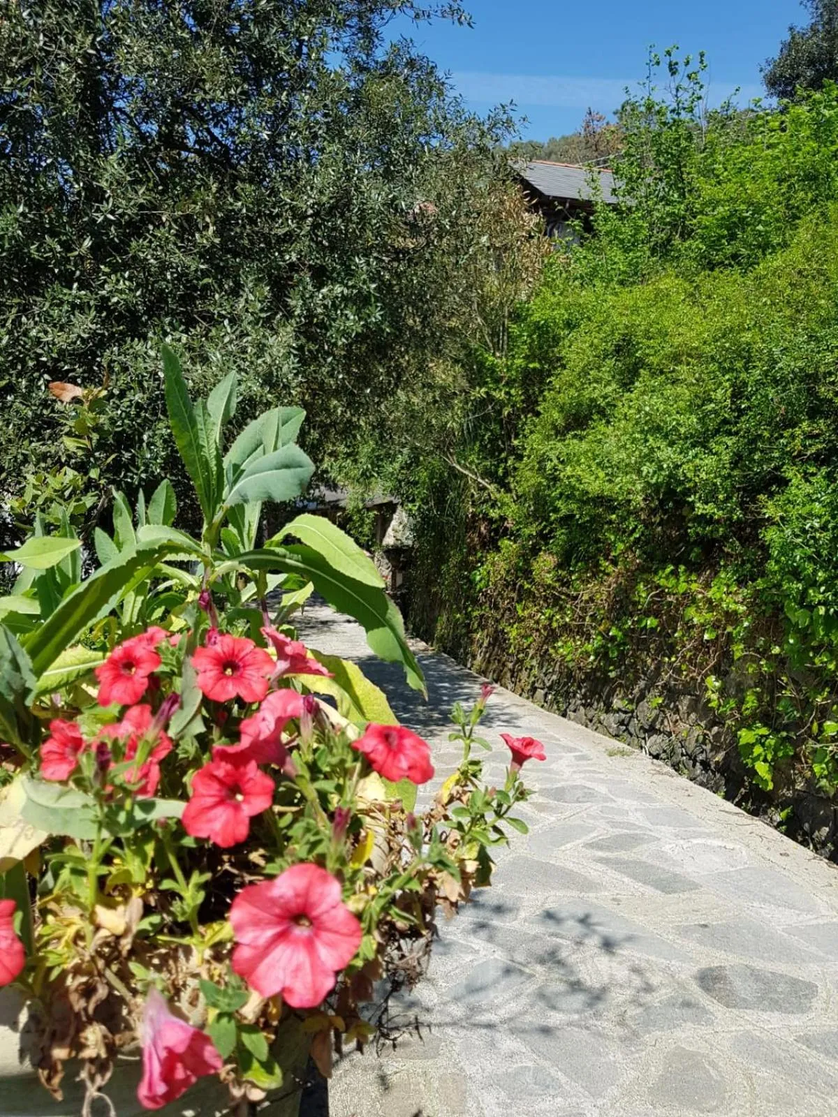 Natural landscape in Costa Morroni