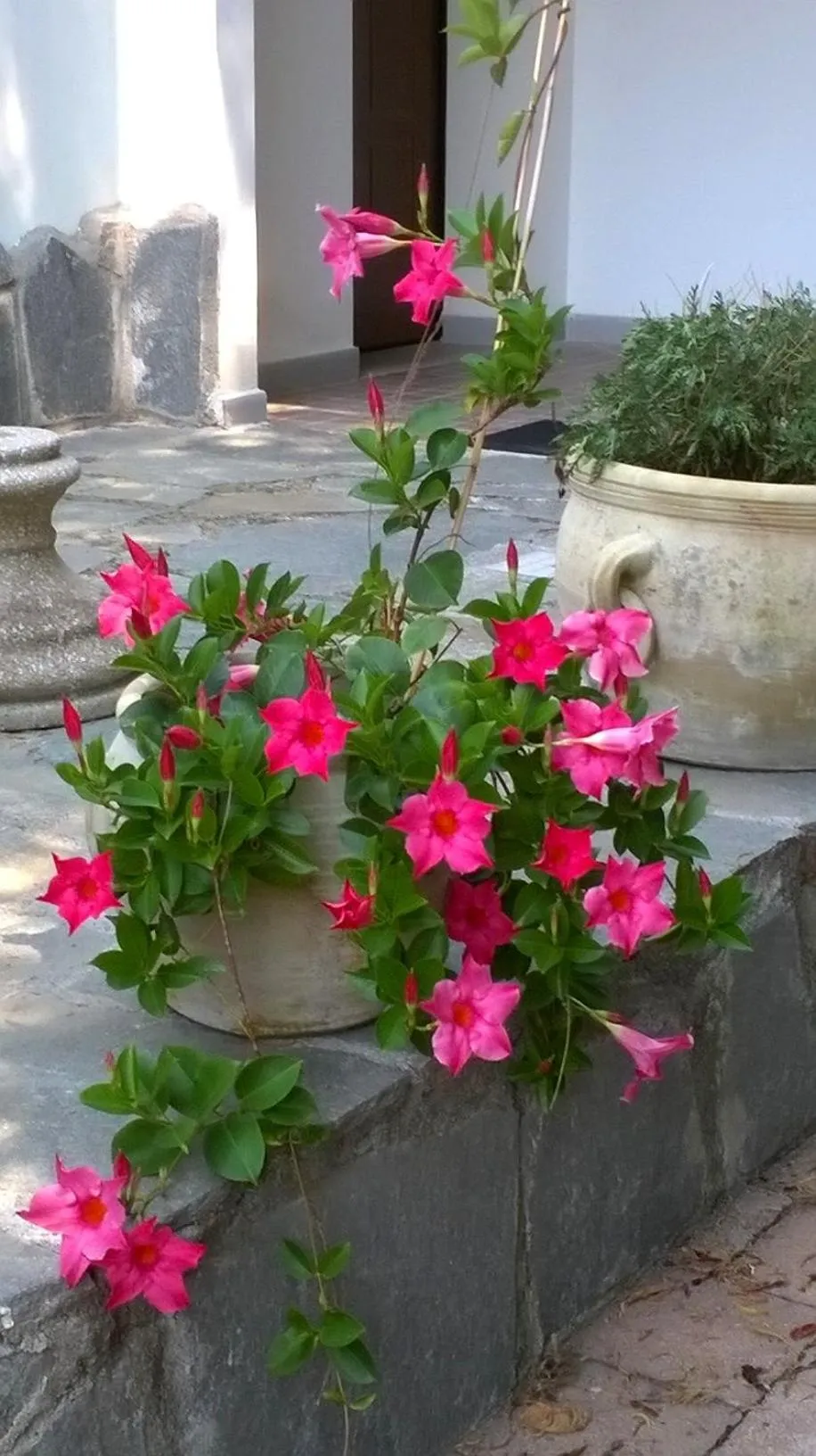 Facade/entrance in Costa Morroni