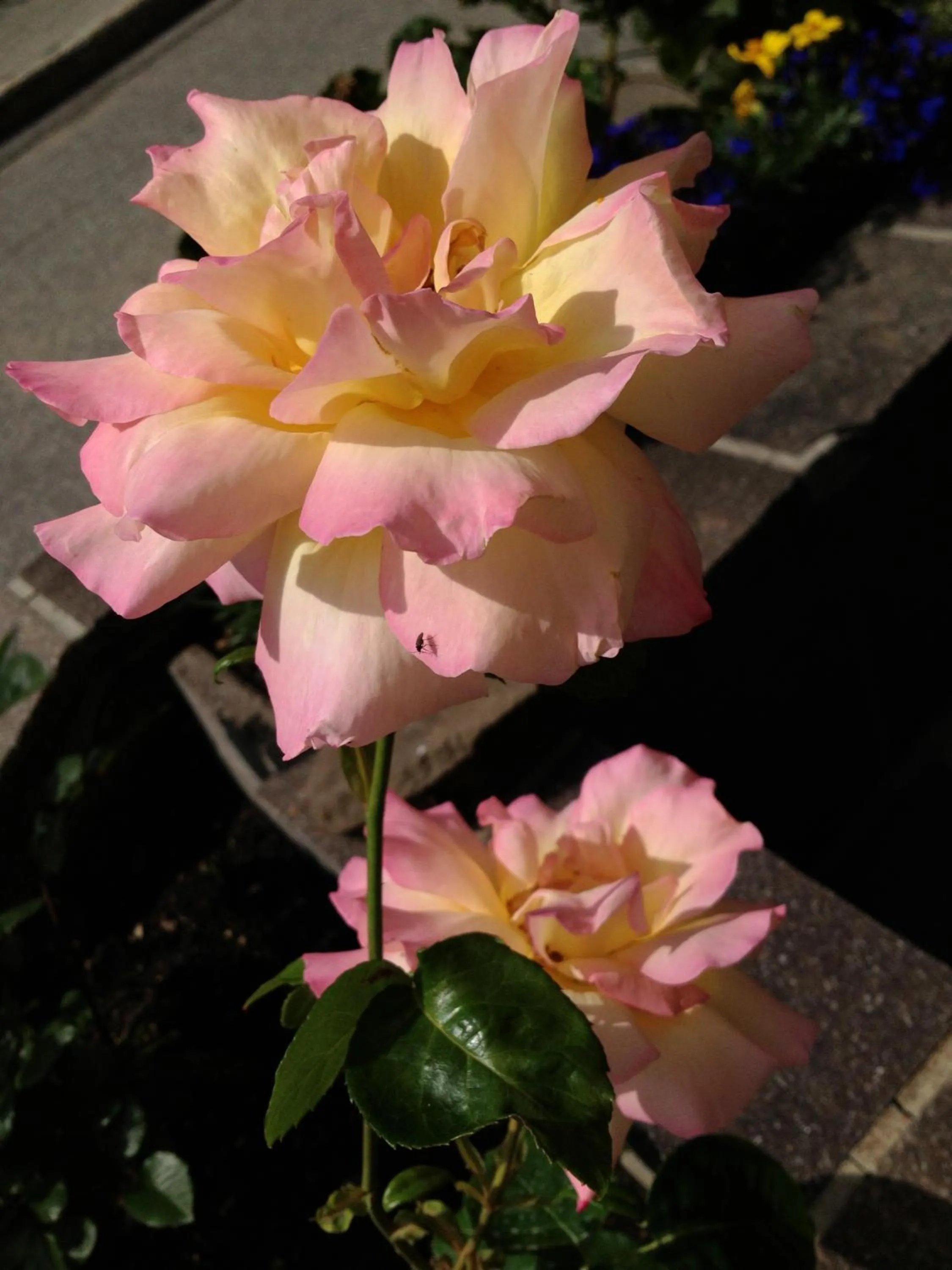 Other in Chalet Madrisa