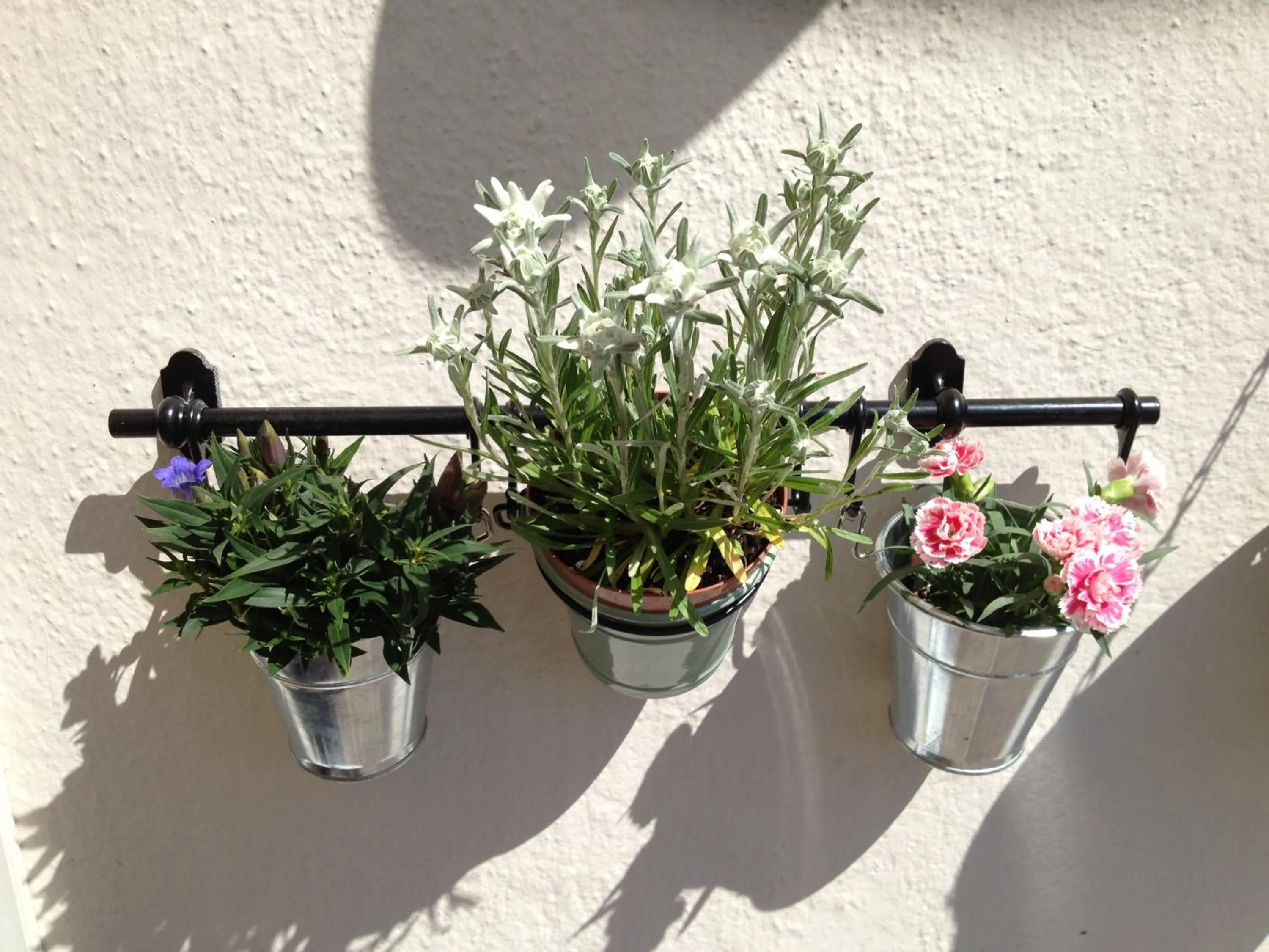 Day in Chalet Madrisa