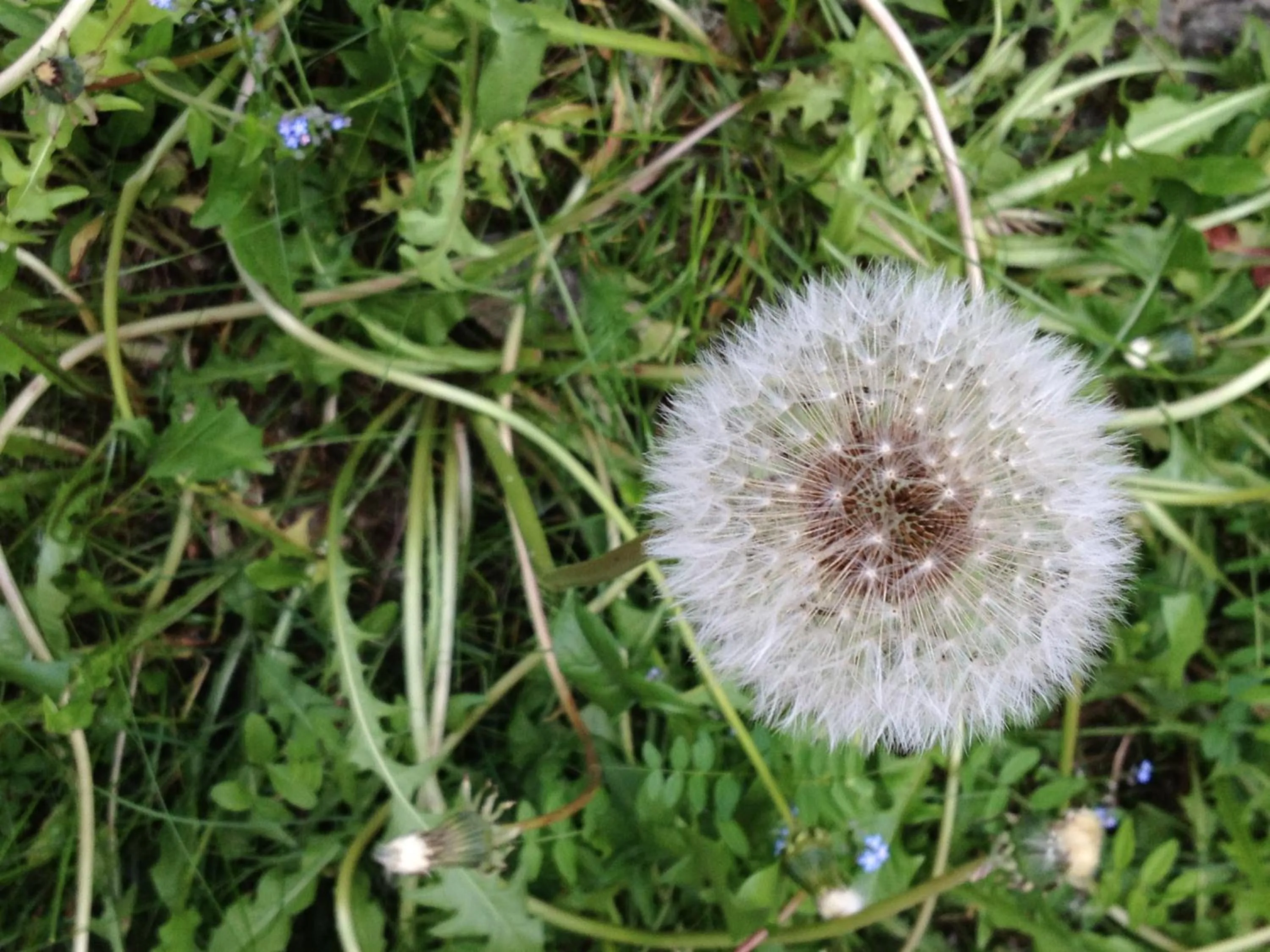 Other in Chalet Madrisa