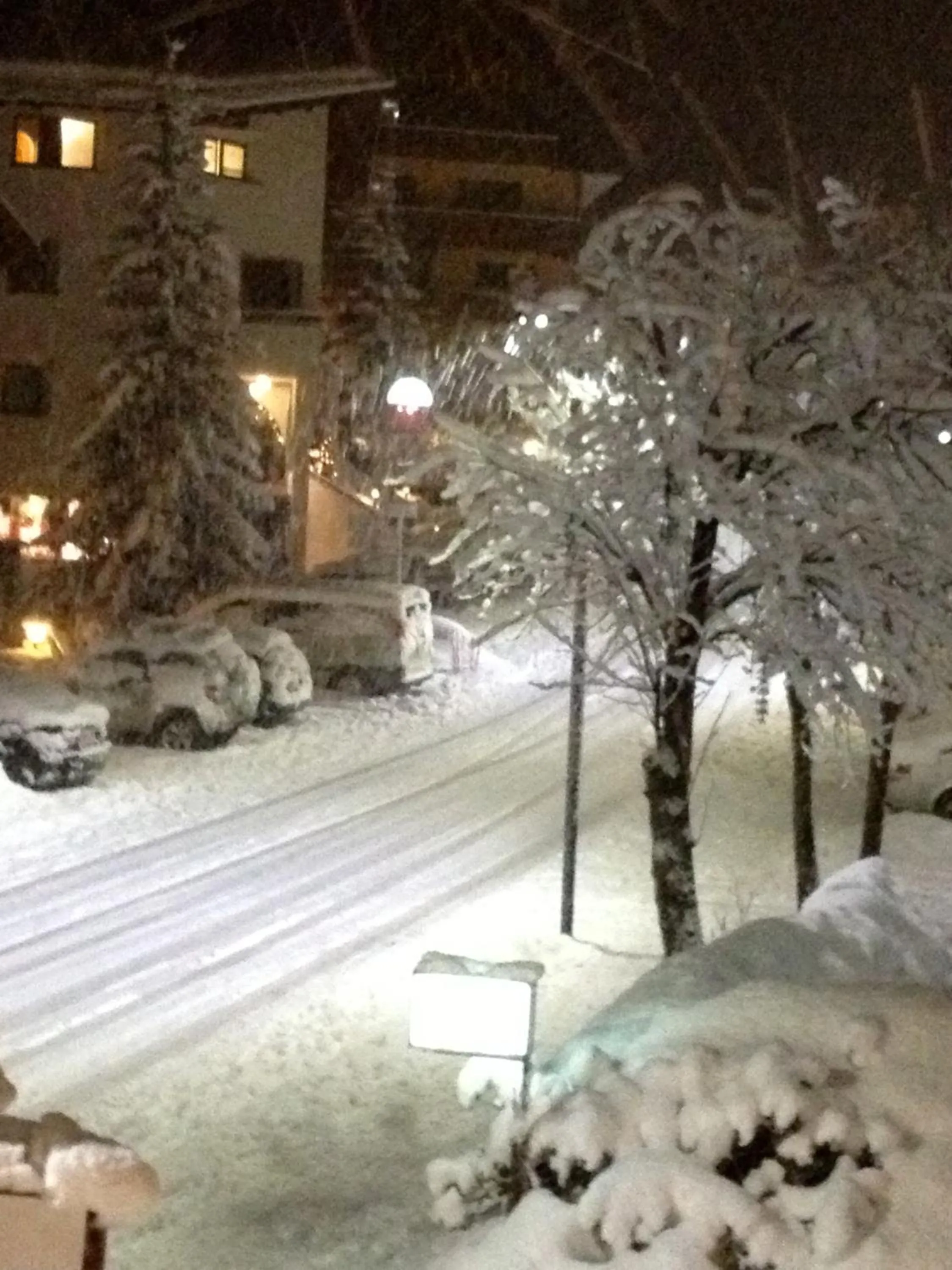 Winter in Chalet Madrisa