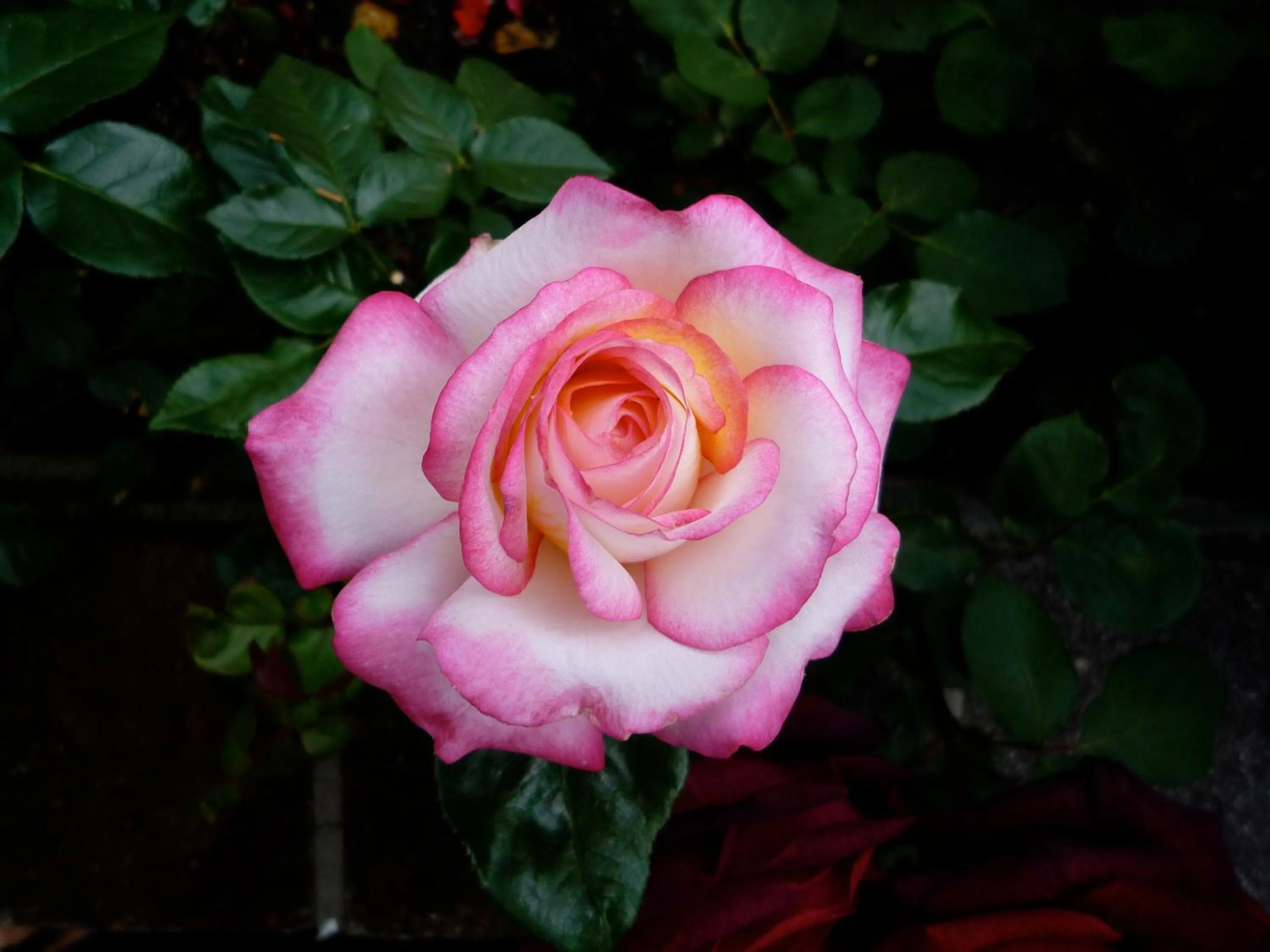 Other in Chalet Madrisa