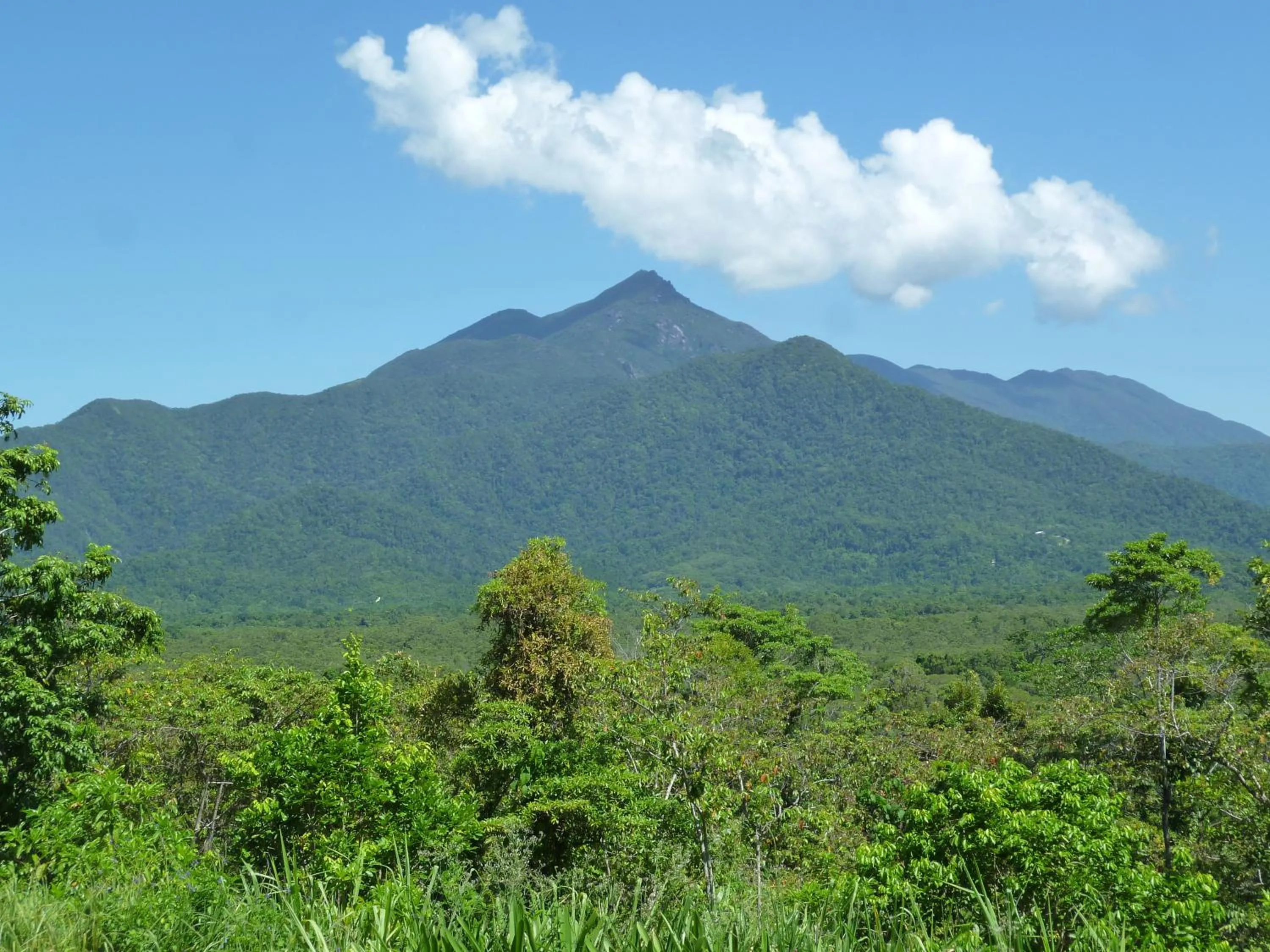 Mountain view in Wompoo Eco Retreat