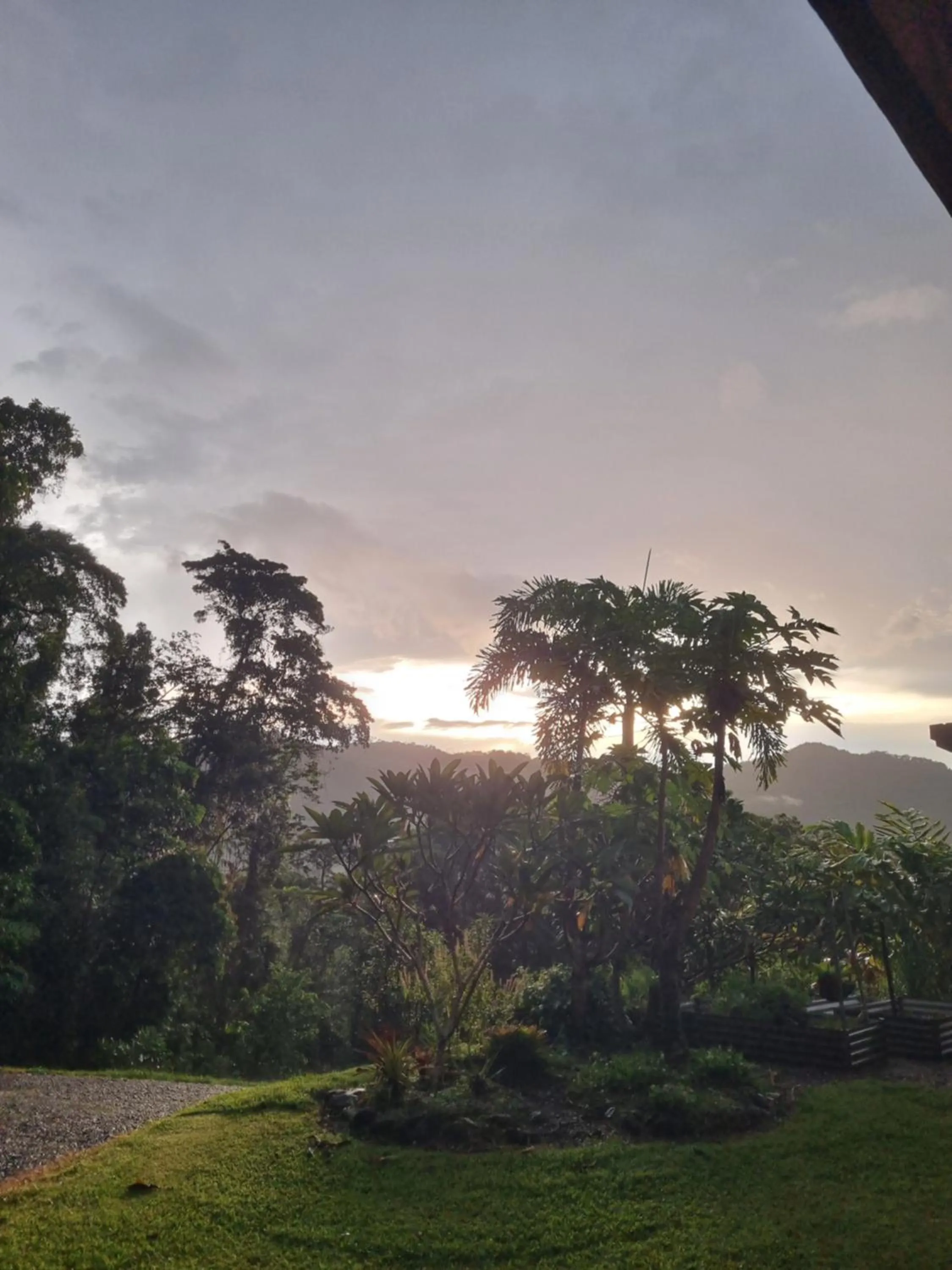 View (from property/room) in Wompoo Eco Retreat