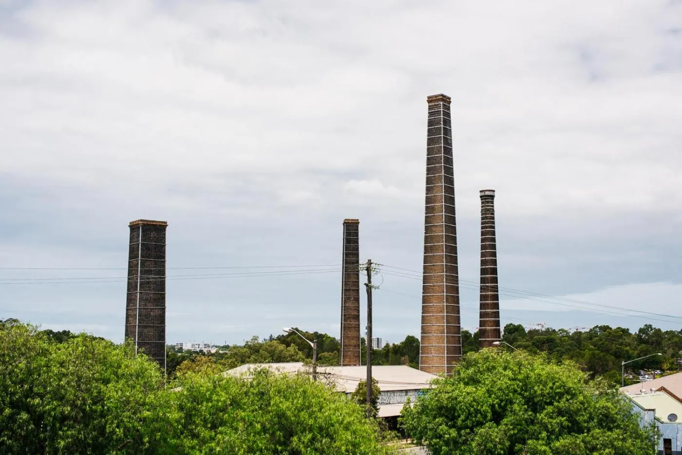 Natural landscape in Sydney Park Hotel