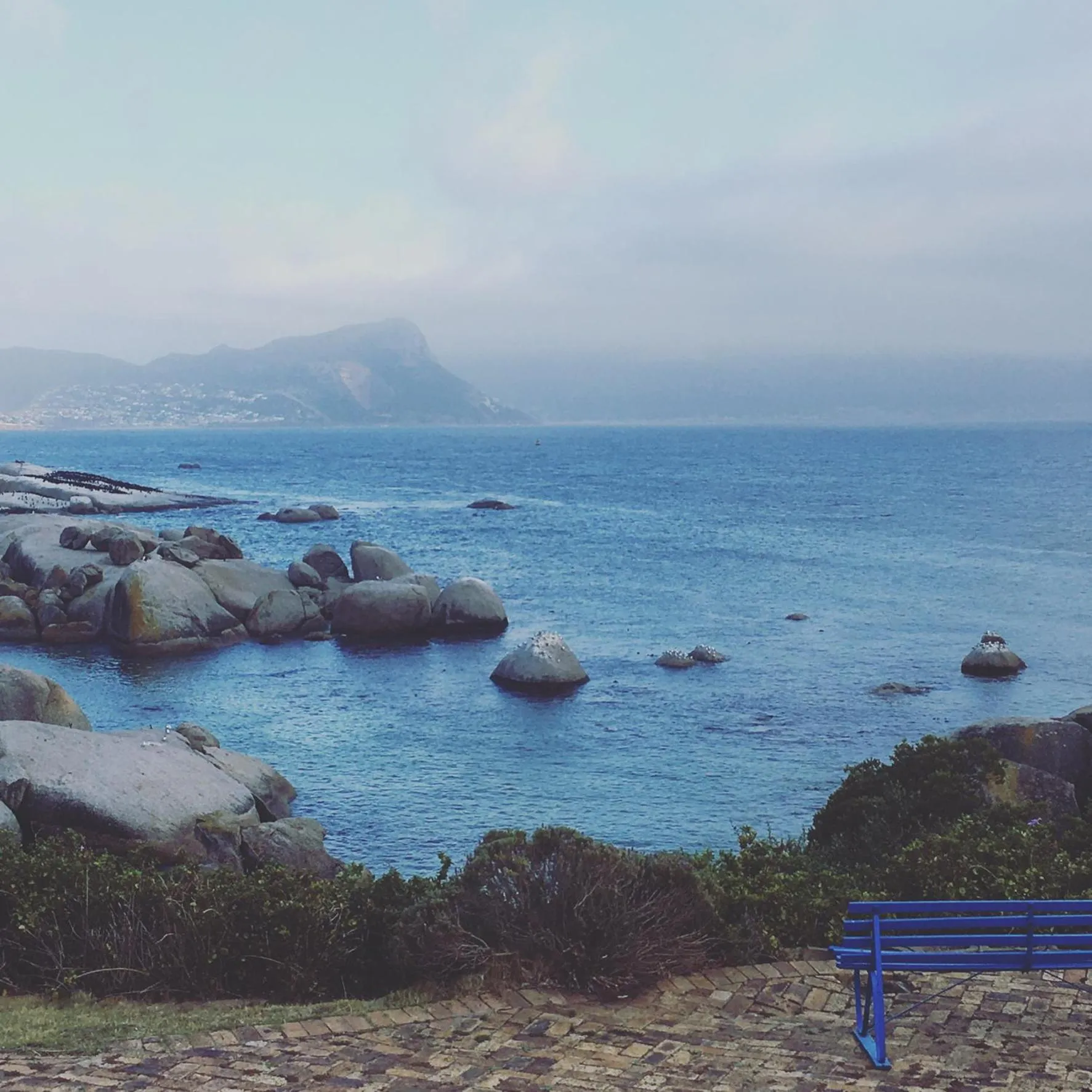 Natural landscape in Bosky Dell on Boulders Beach