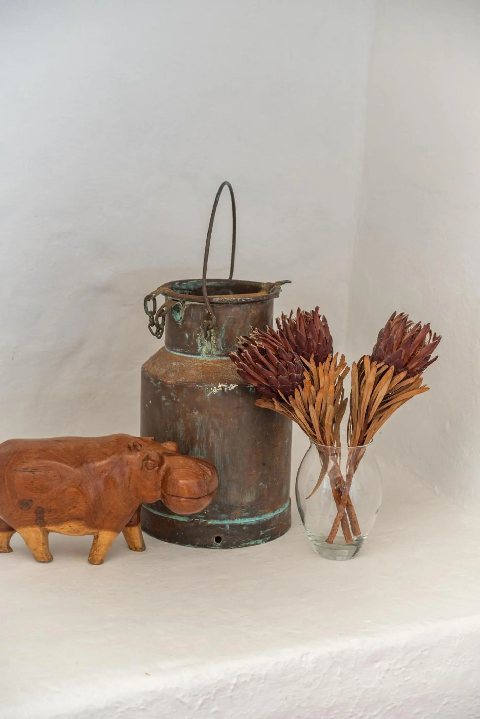 Decorative detail in Bosky Dell on Boulders Beach