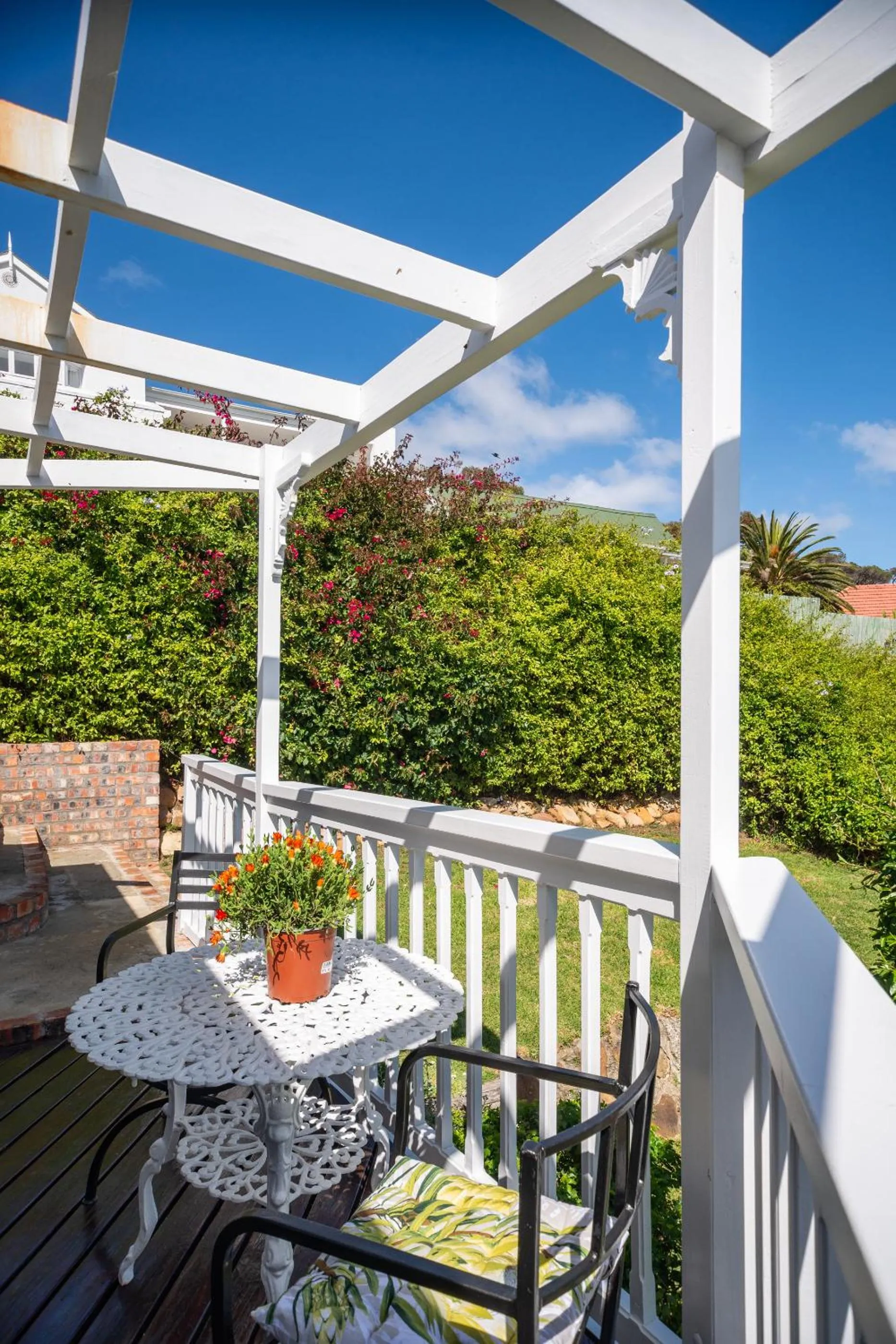 Spring in Bosky Dell on Boulders Beach