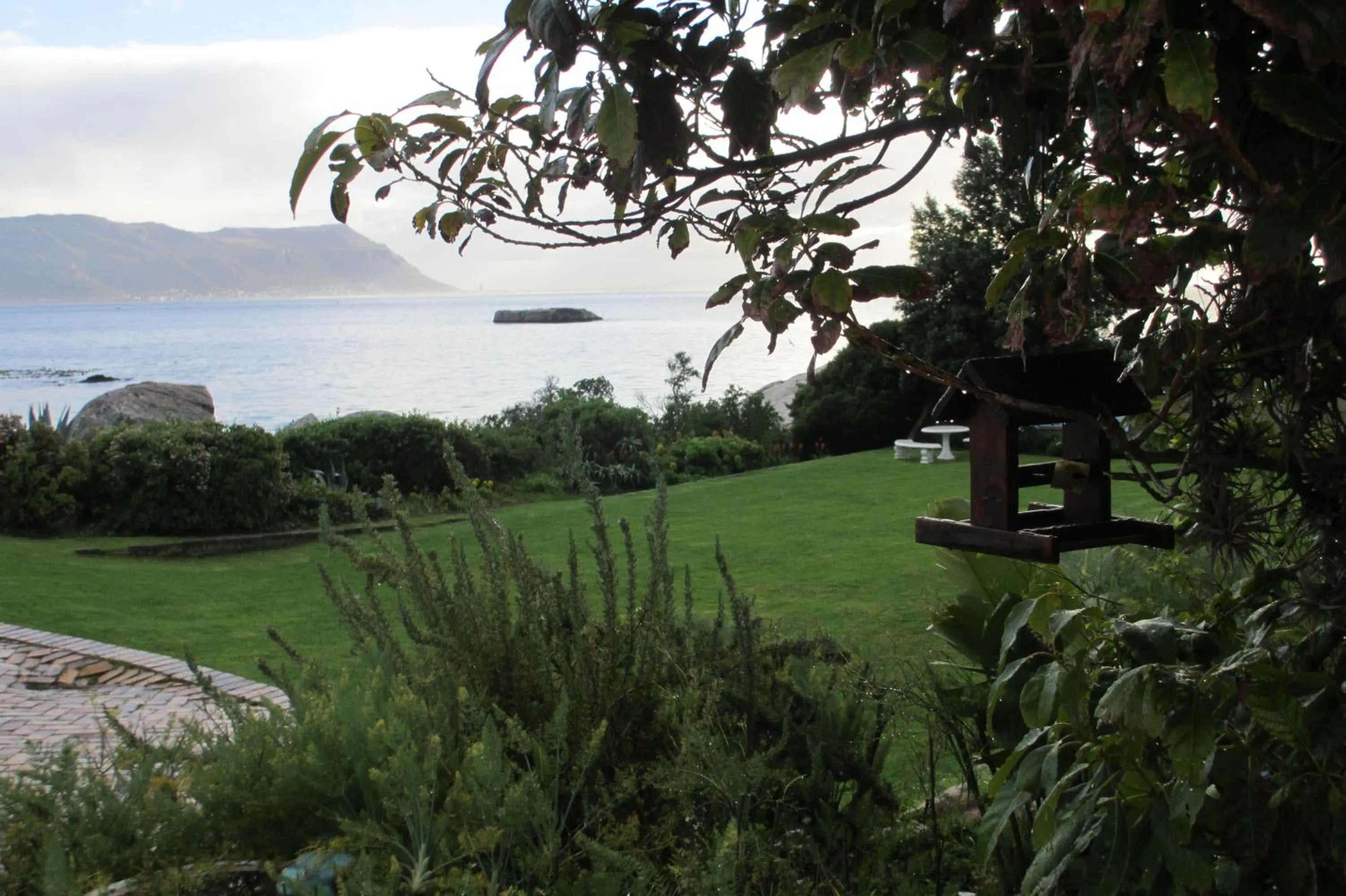 Garden in Bosky Dell on Boulders Beach