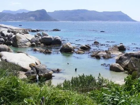 Beach in Bosky Dell on Boulders Beach