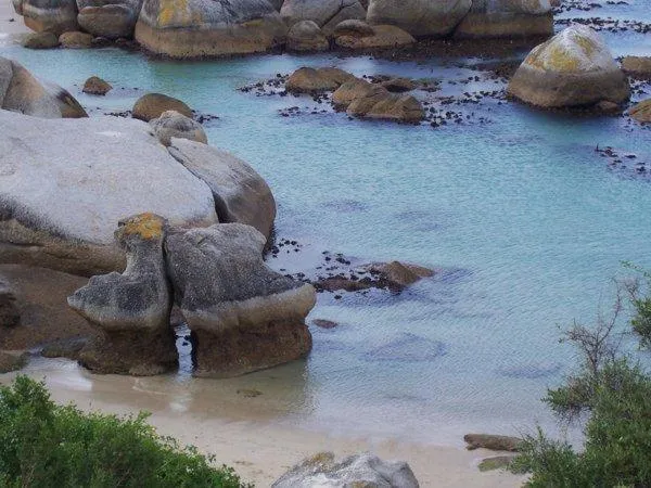 Nearby landmark in Bosky Dell on Boulders Beach