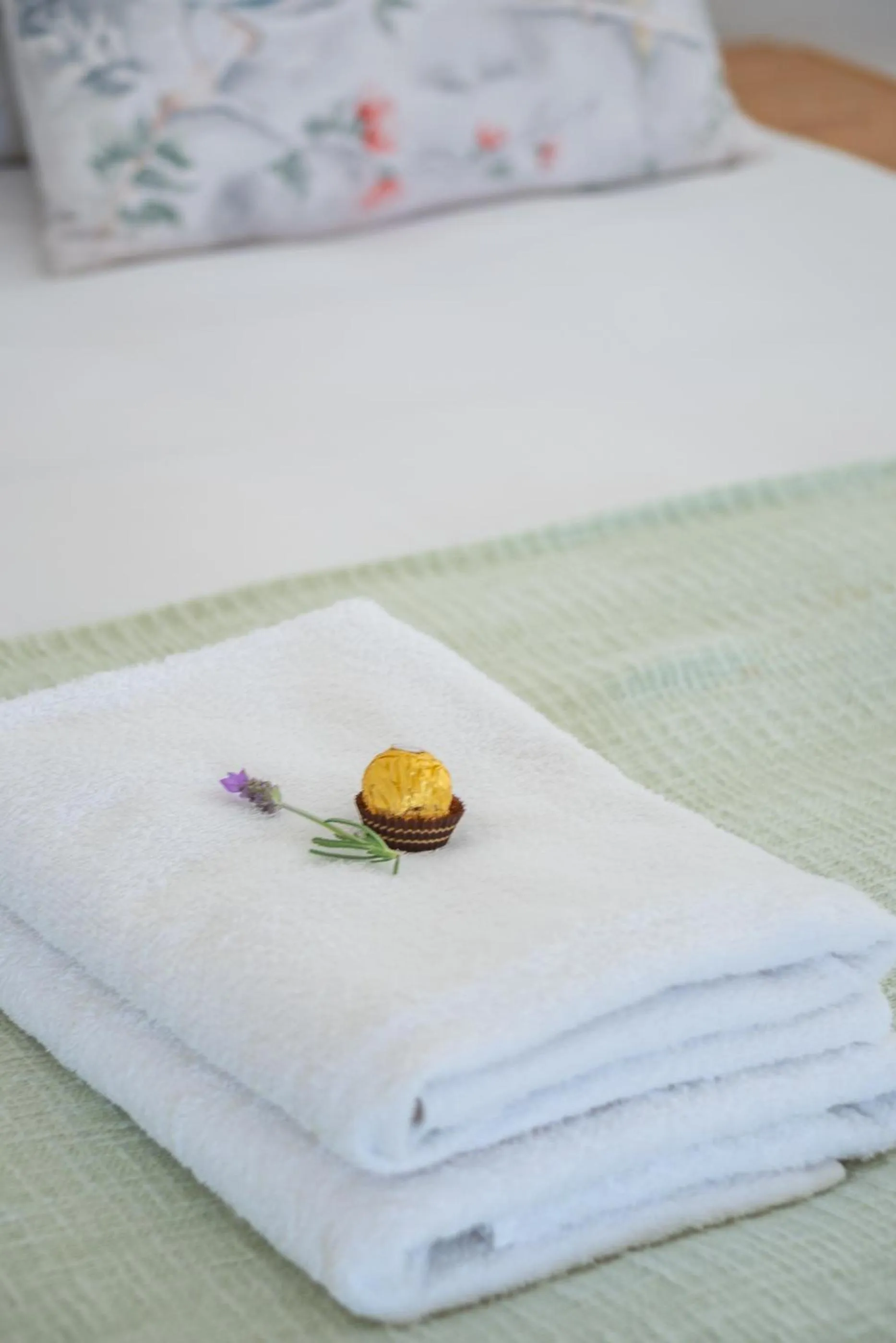 Bed in Bosky Dell on Boulders Beach