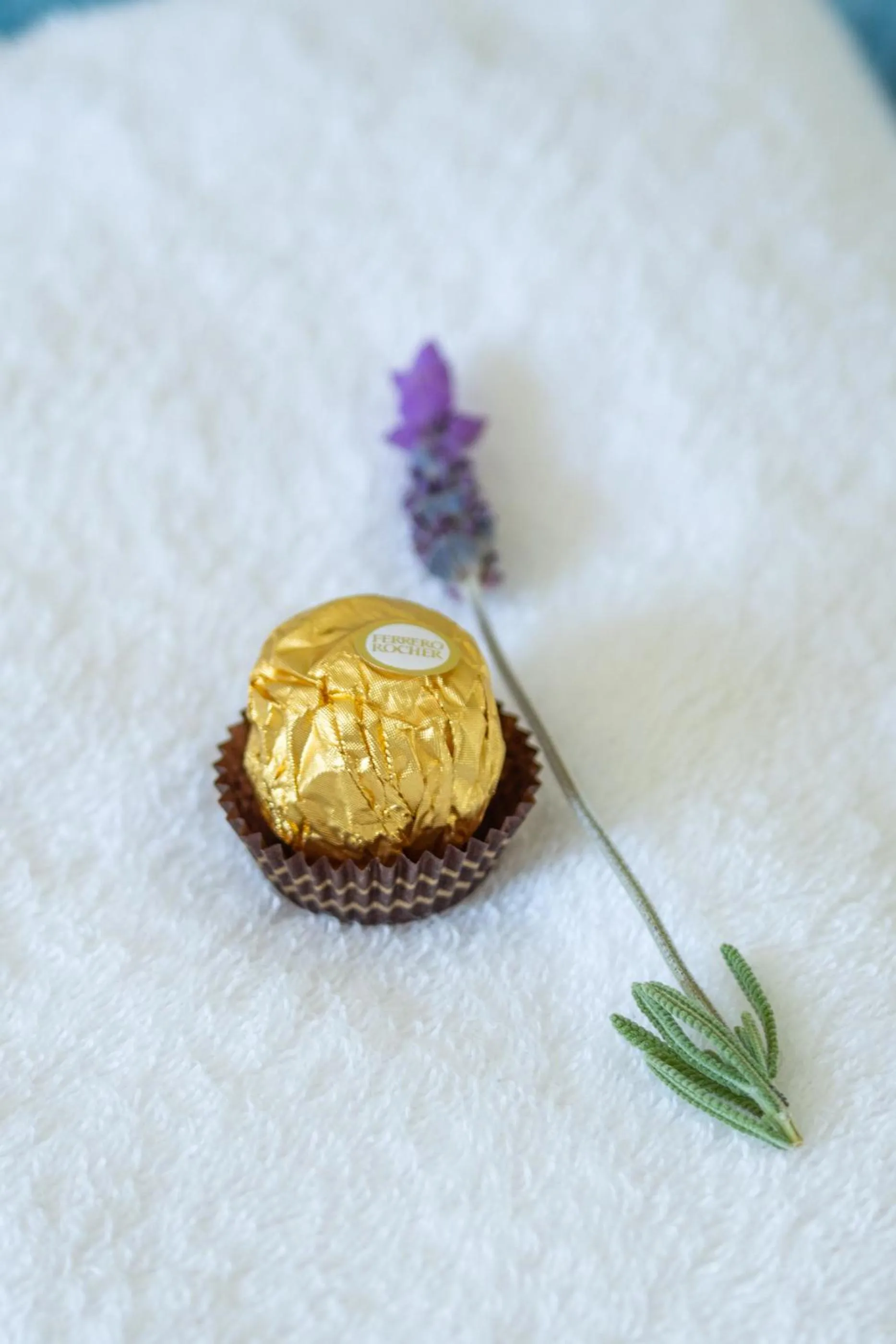 Decorative detail in Bosky Dell on Boulders Beach