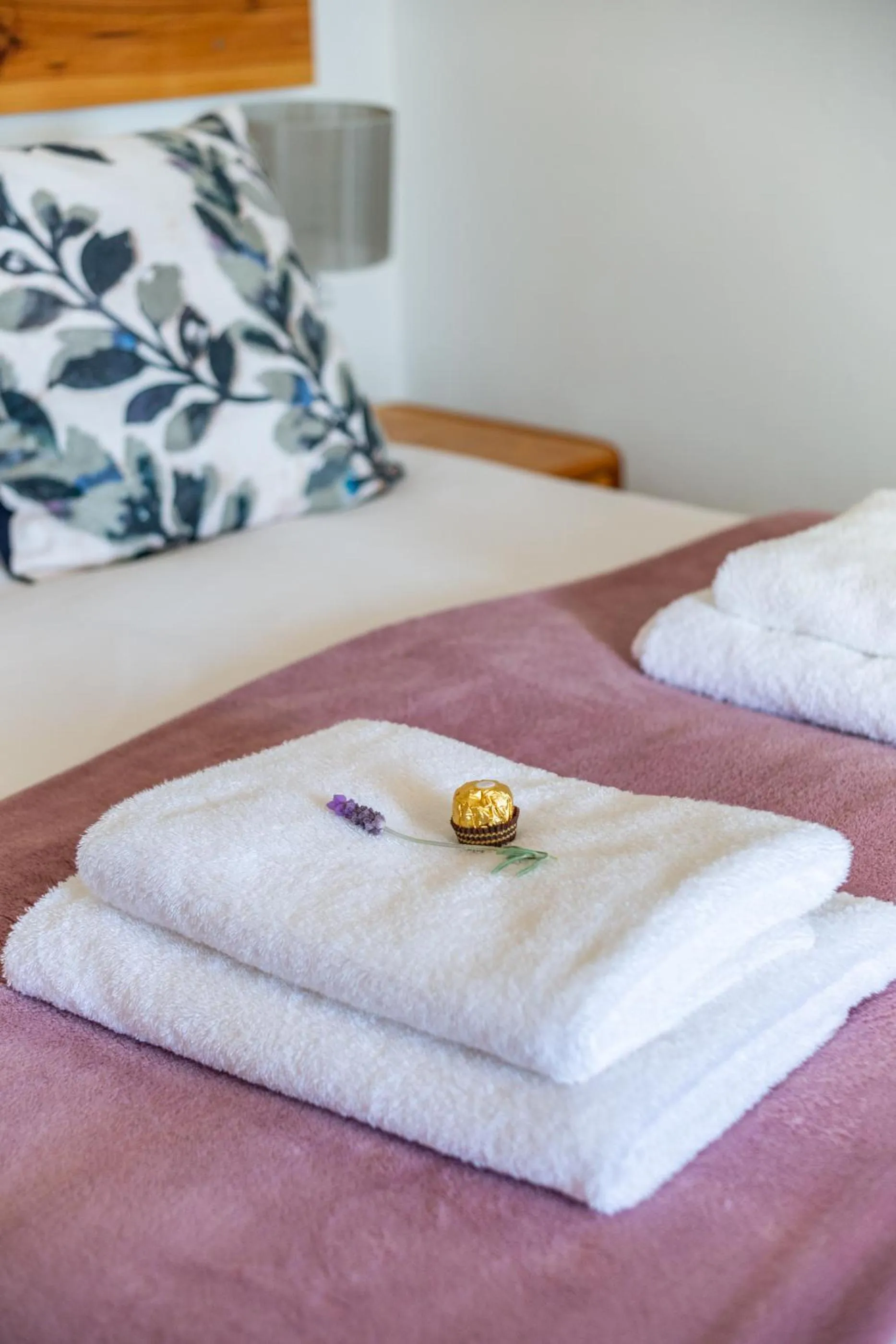 Bed in Bosky Dell on Boulders Beach