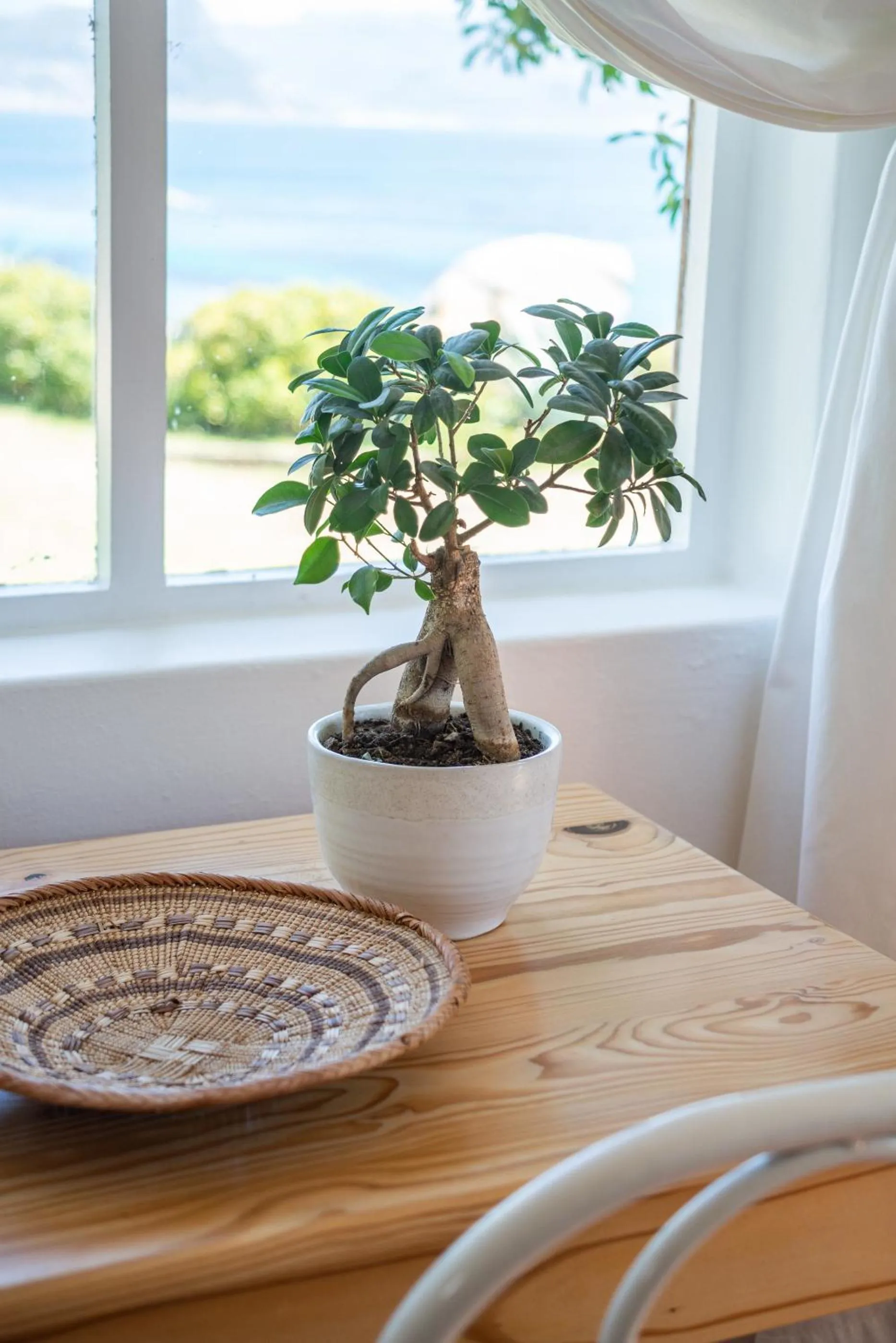 Decorative detail in Bosky Dell on Boulders Beach