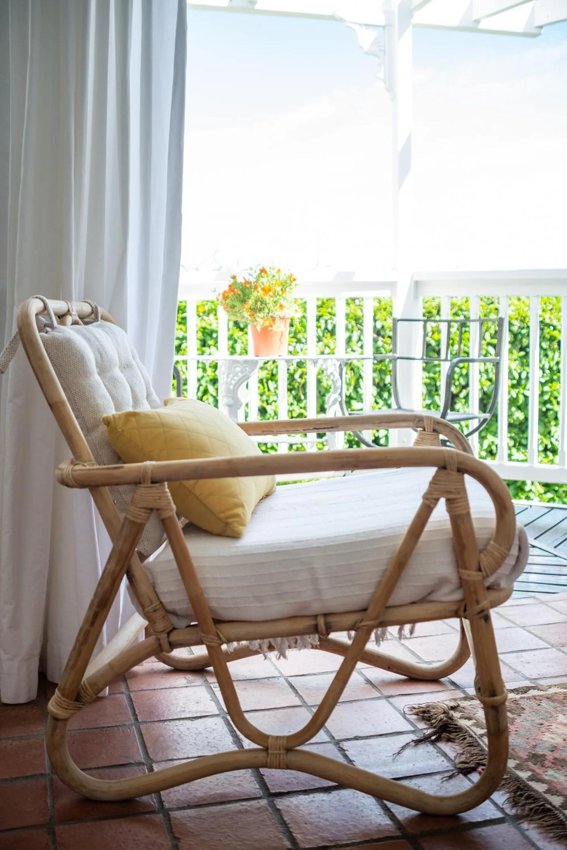 Day in Bosky Dell on Boulders Beach