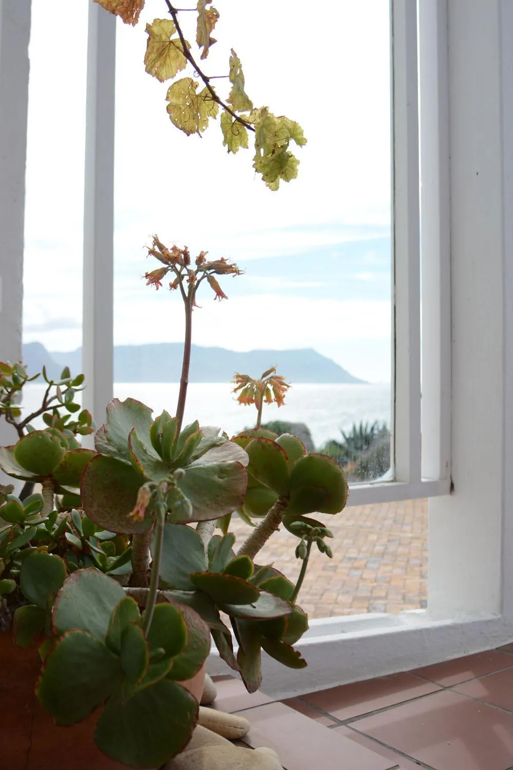Natural landscape in Bosky Dell on Boulders Beach