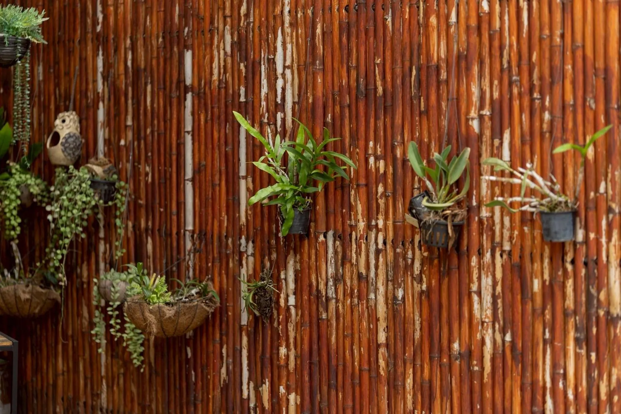 Khon Kaen Orchid Hotel