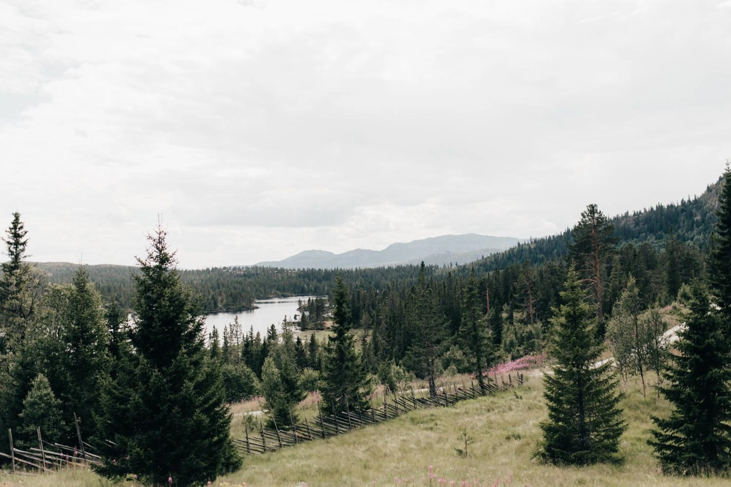 Natural landscape in Tuddal Høyfjellshotel