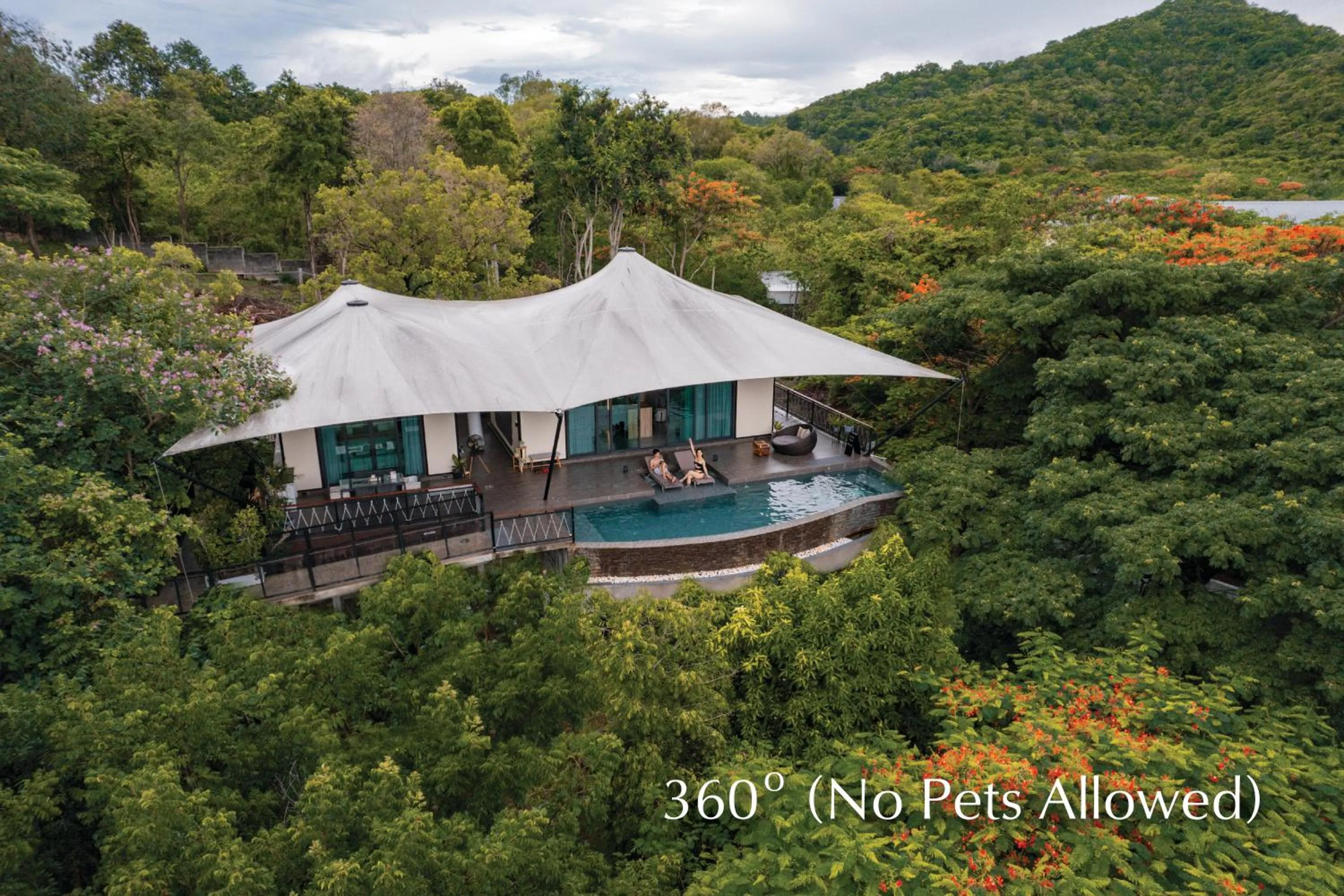 Landmark view in Te Mata Glamping