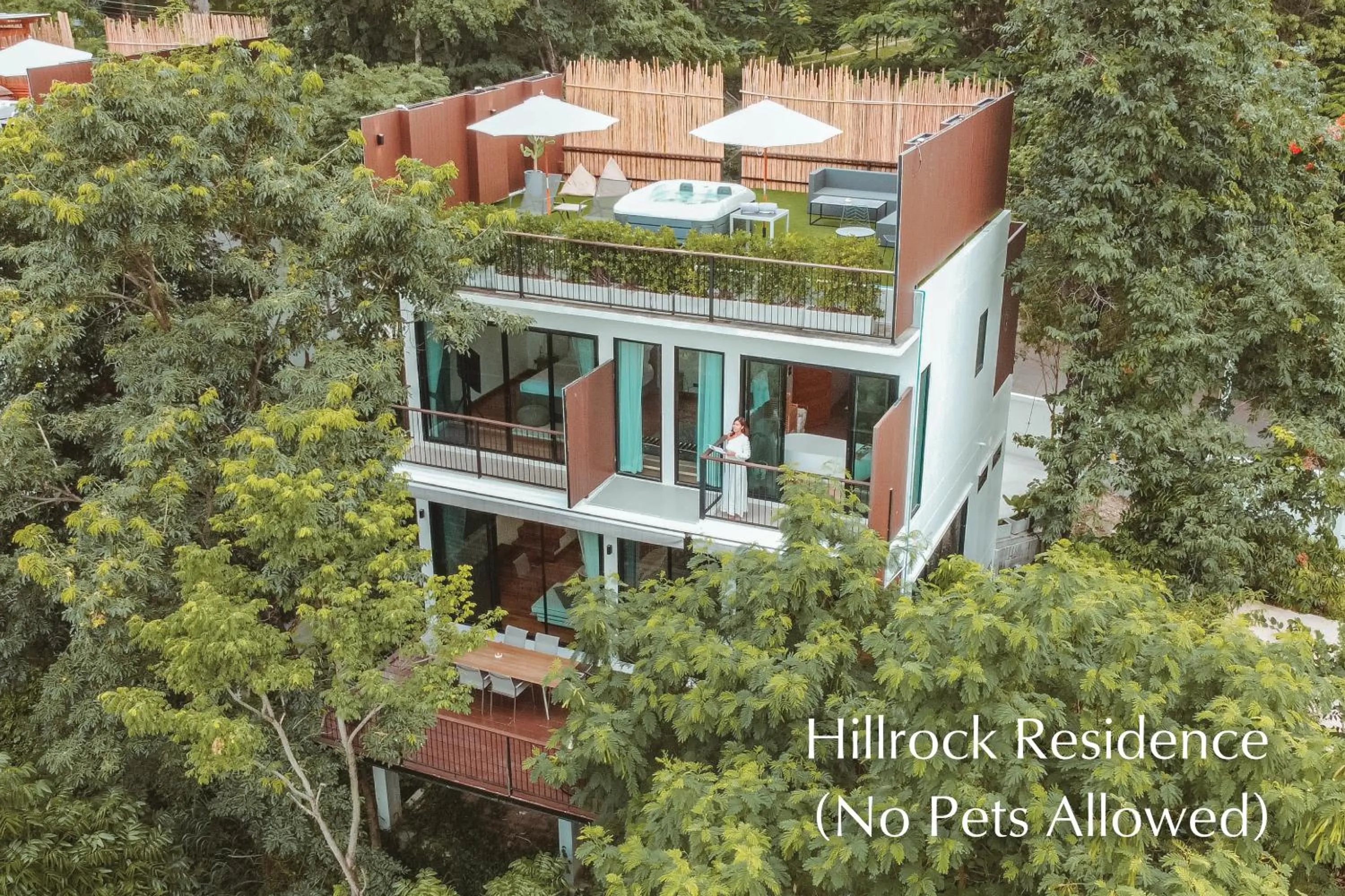 View (from property/room) in Te Mata Glamping