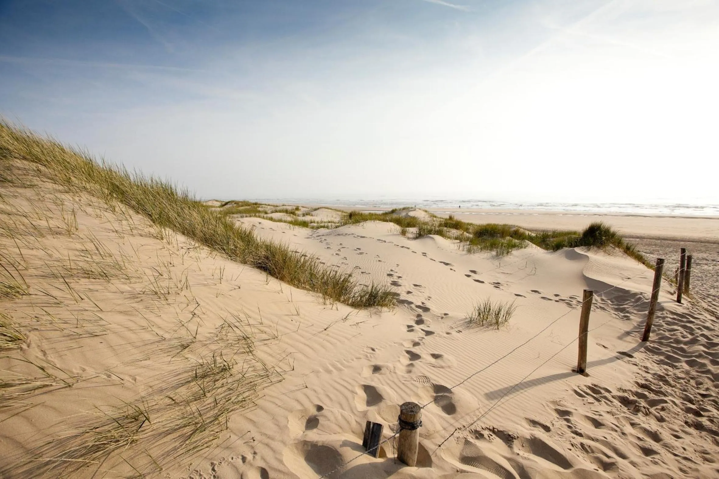 Nearby landmark in B&B PeperZzz