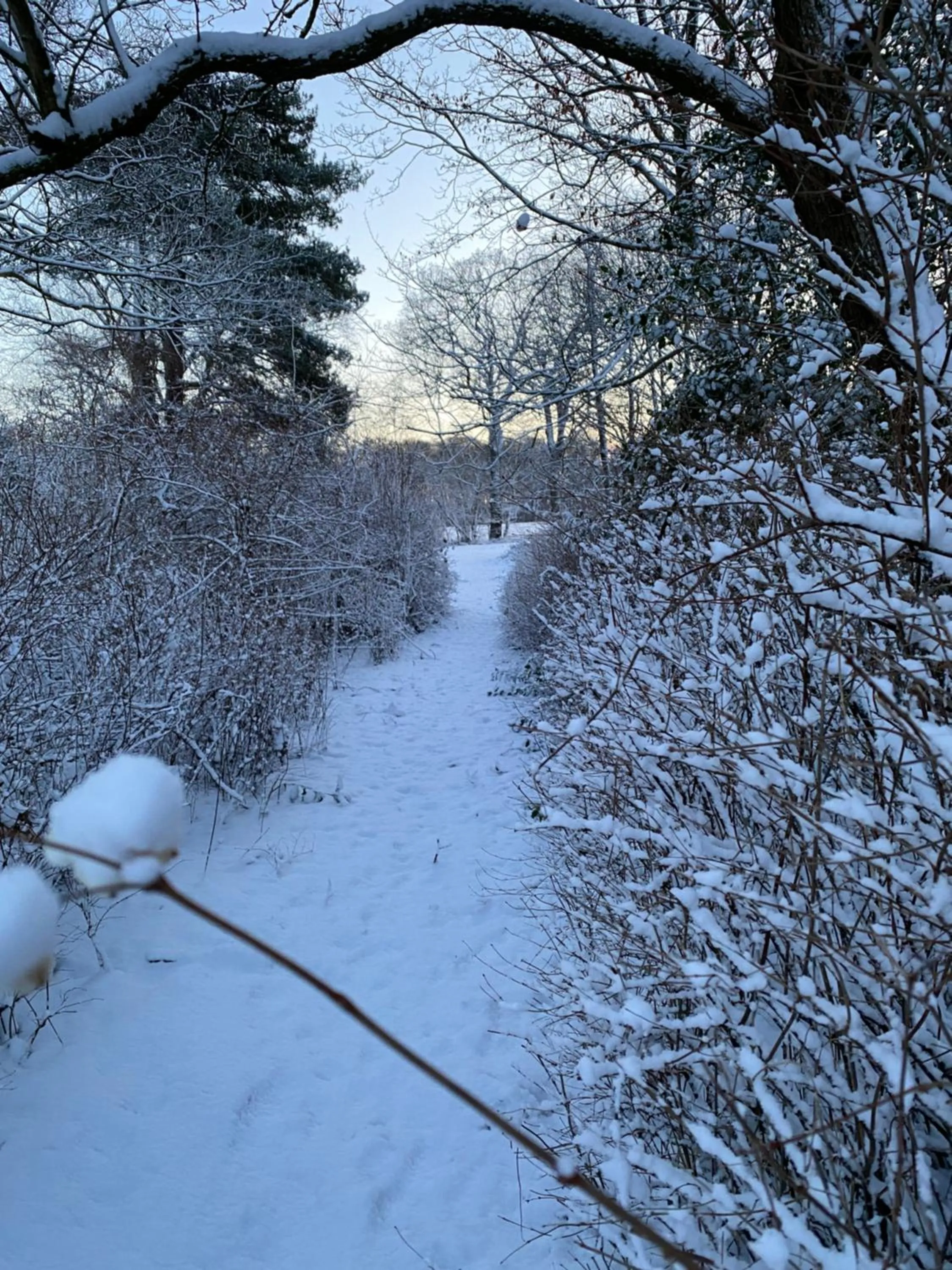 Natural landscape in Rønhave
