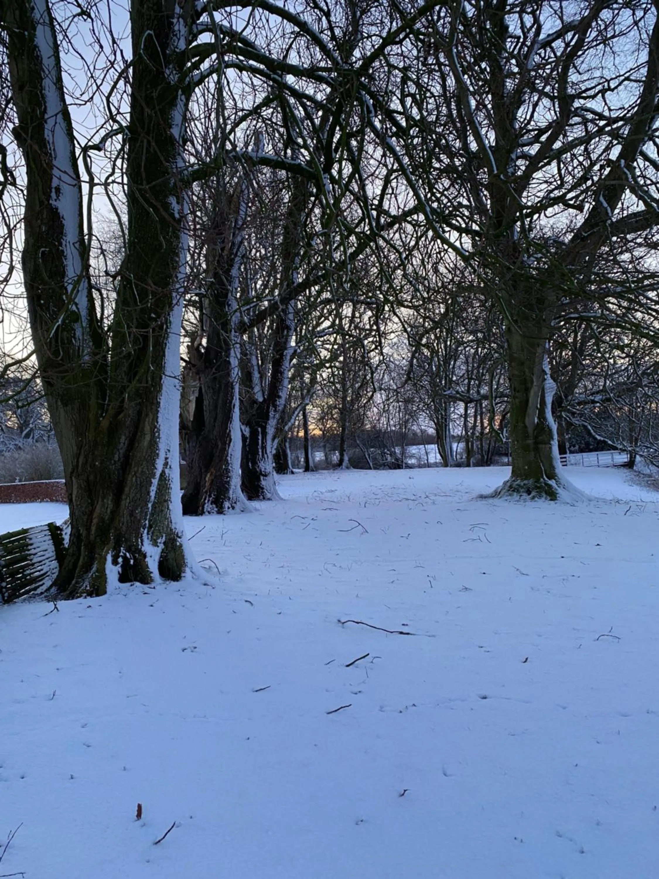 Natural landscape in Rønhave