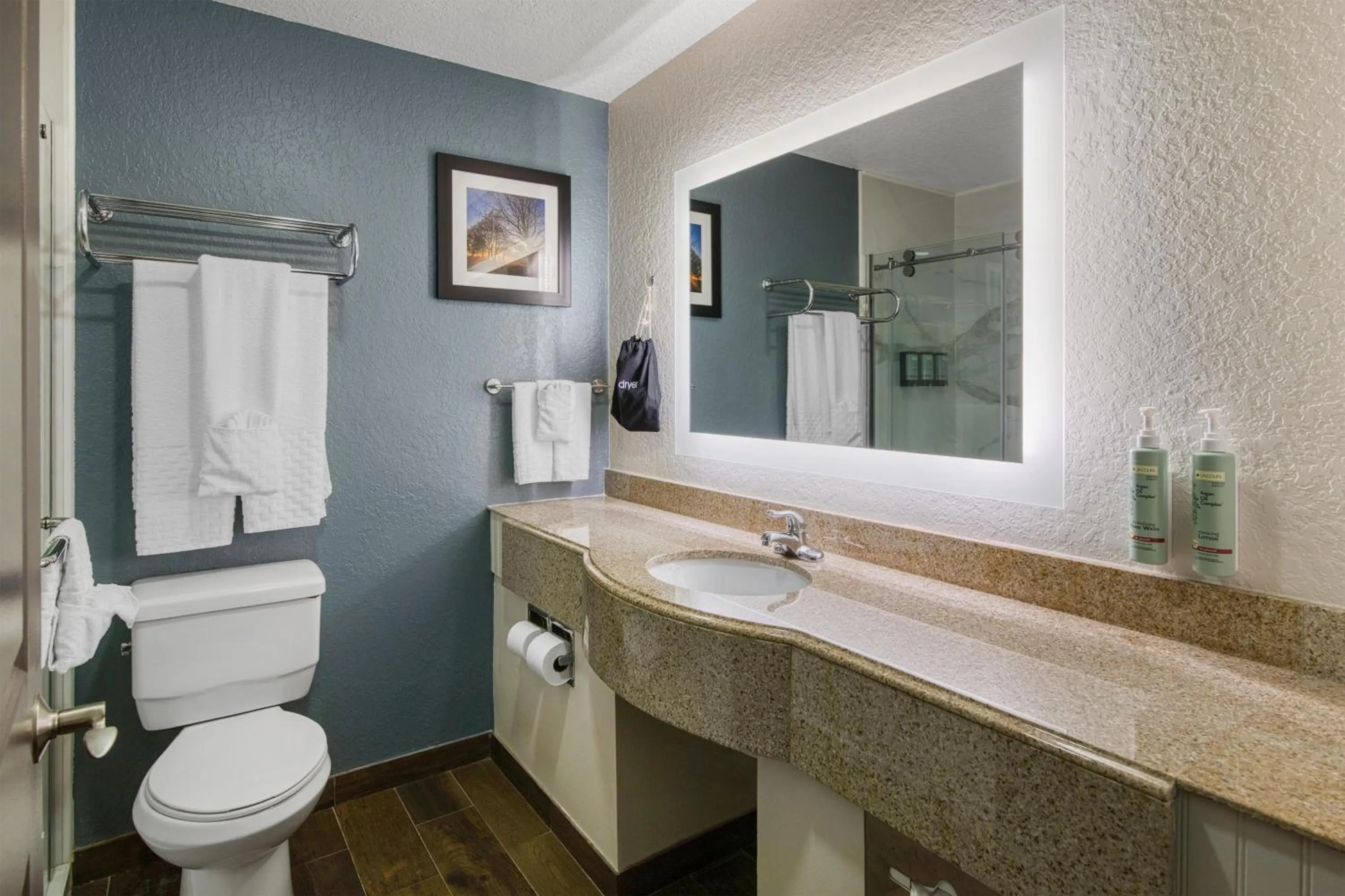 Bathroom in Best Western Waldo Inn & Suites