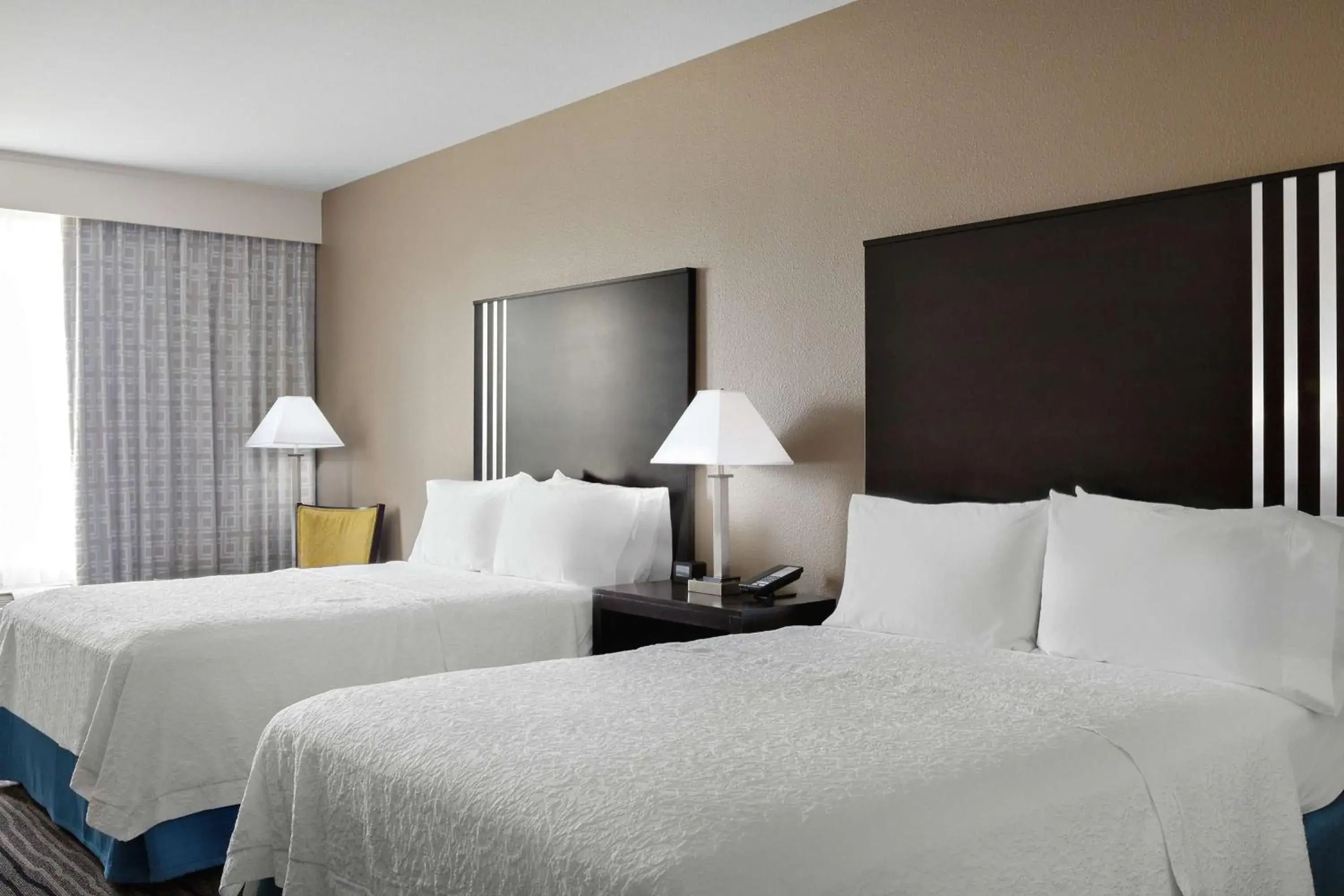 Room with Two Queen Beds - Non-Smoking in Hampton Inn & Suites Mountain View Room with Two Queen Beds - Non-Smoking in Hampton Inn & Suites Mountain View