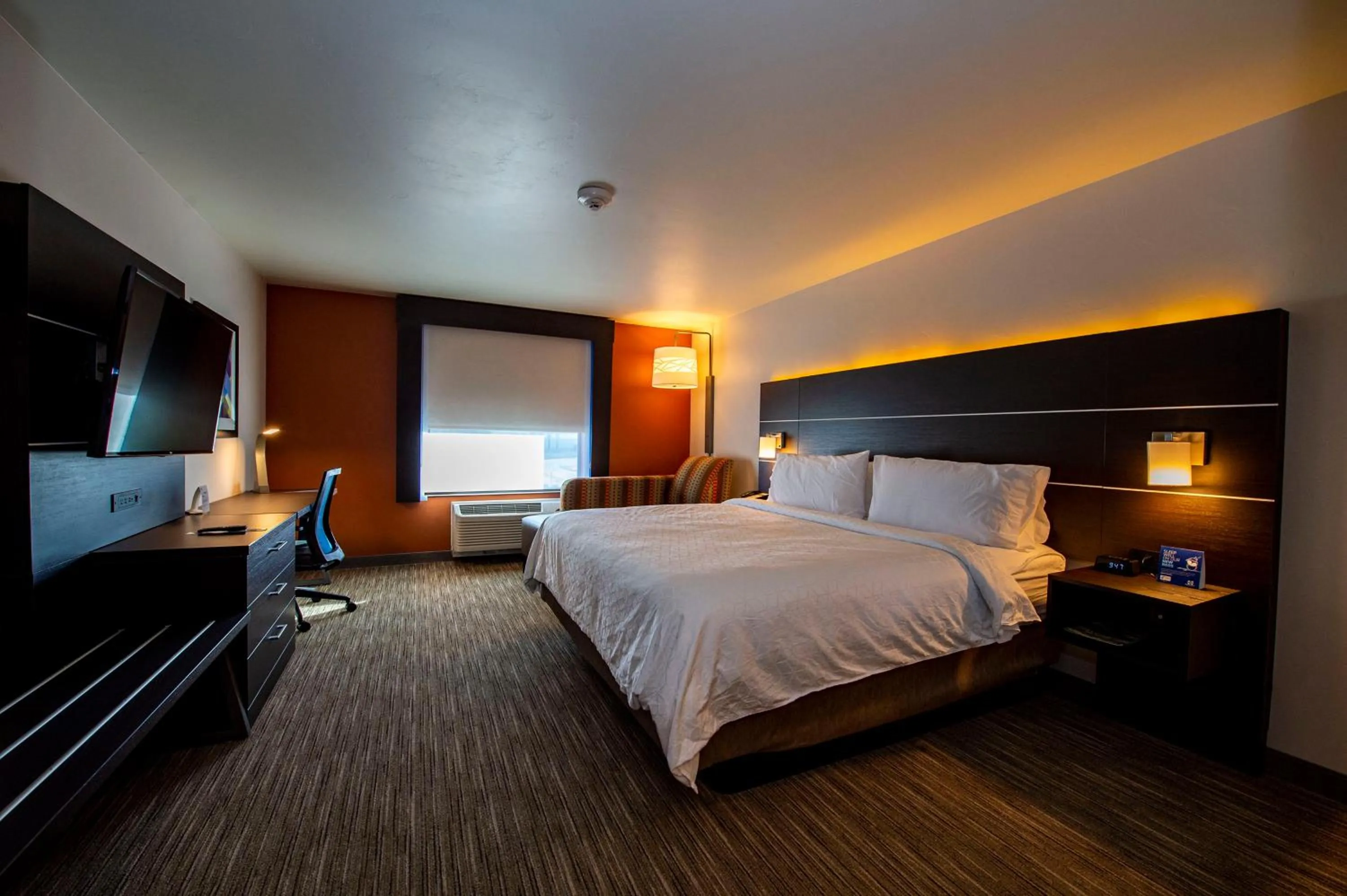 Photo of the whole room, Bed in Holiday Inn Express & Suites - Colorado Springs AFA Northgate by IHG