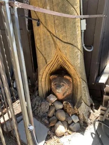 Property building in Avalon Lodge South Lake Tahoe