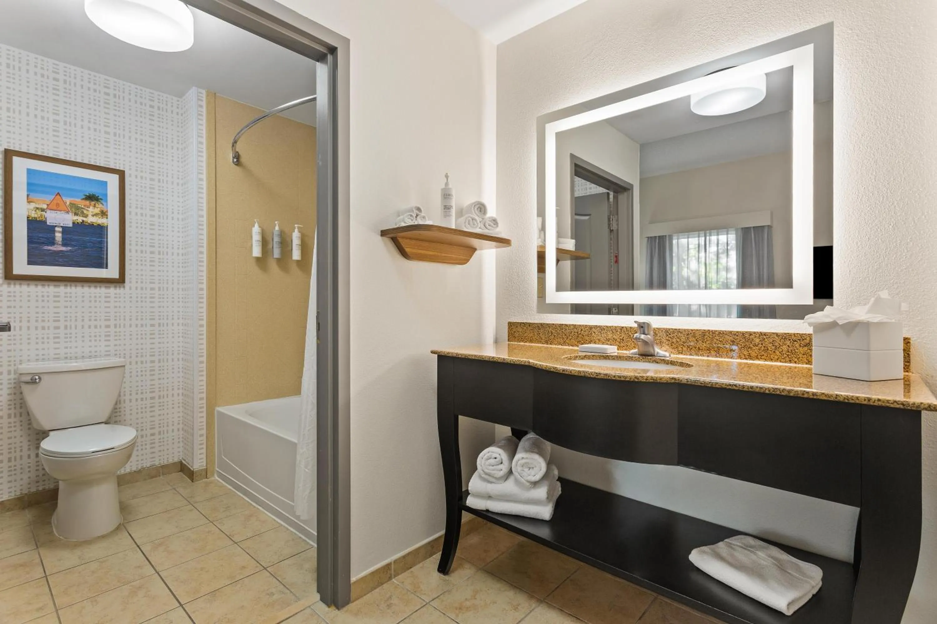 Bathroom in Hampton Inn & Suites Port Richey