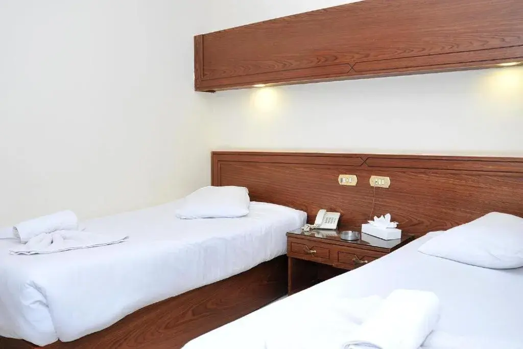 Standard Double Room - single occupancy in Salma Hotel Cairo Standard Double Room - single occupancy in Salma Hotel Cairo