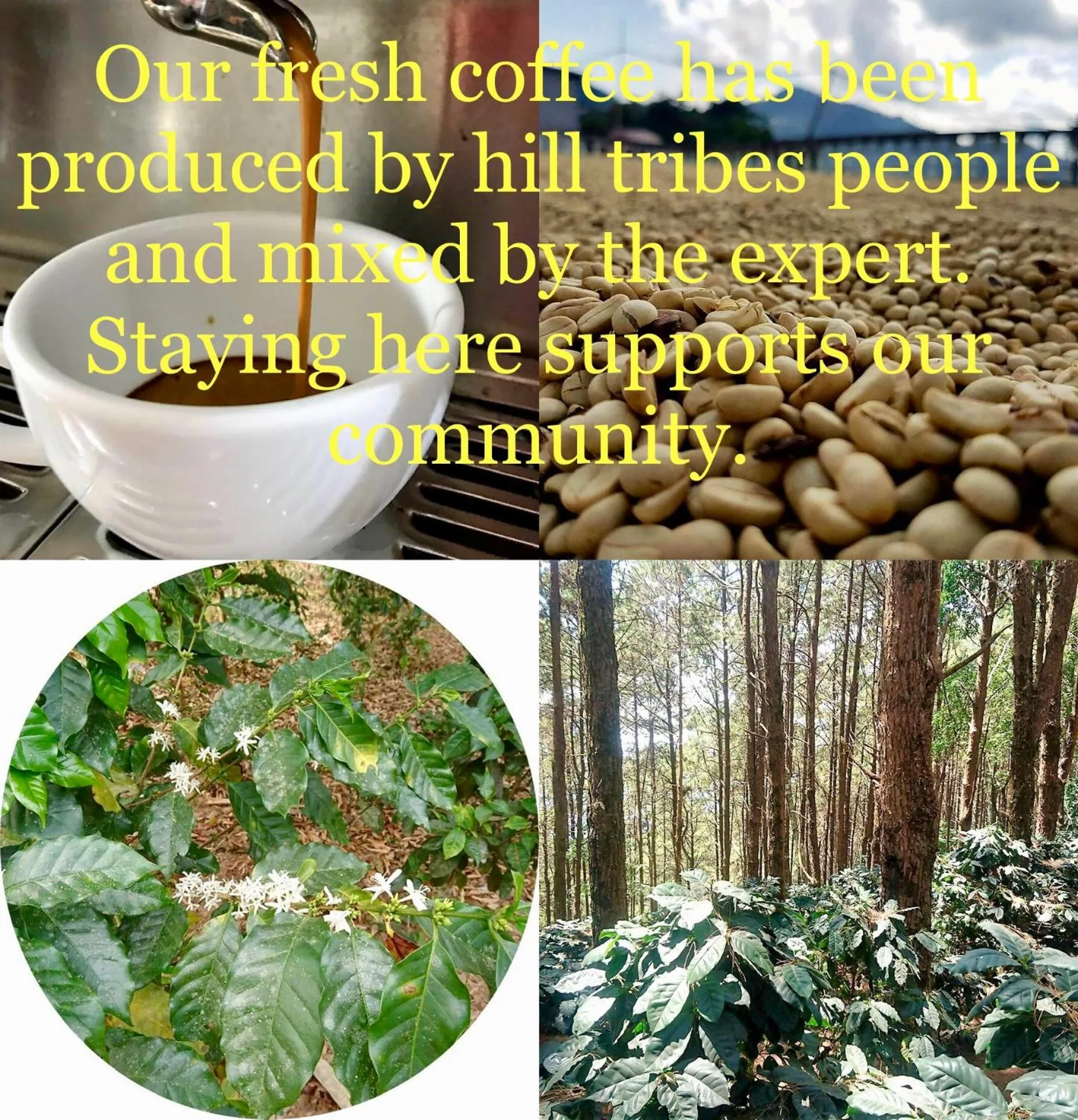 Food and drinks in Bann Tawan Hostel Chiang Rai