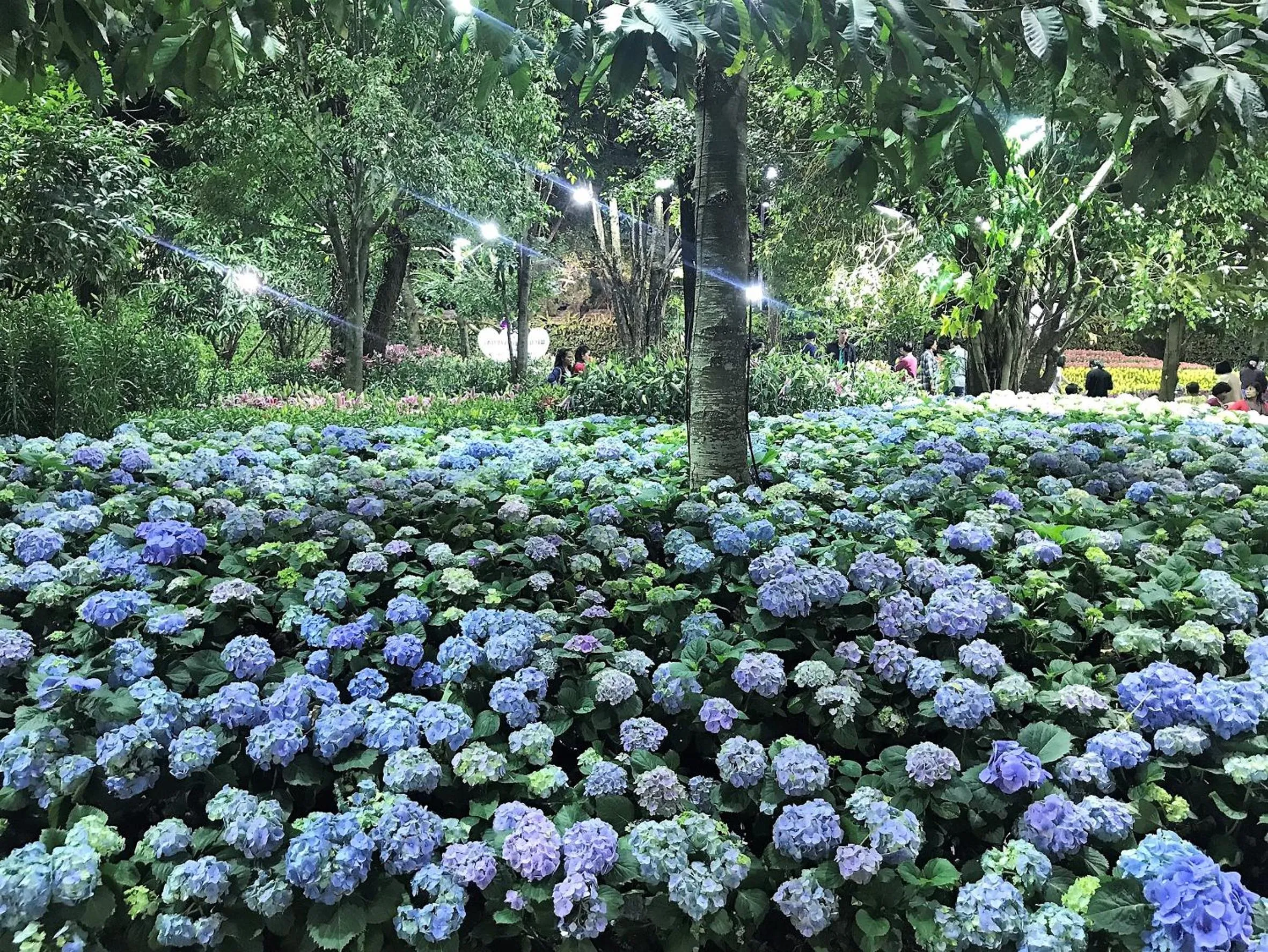 Nearby landmark in Bann Tawan Hostel Chiang Rai
