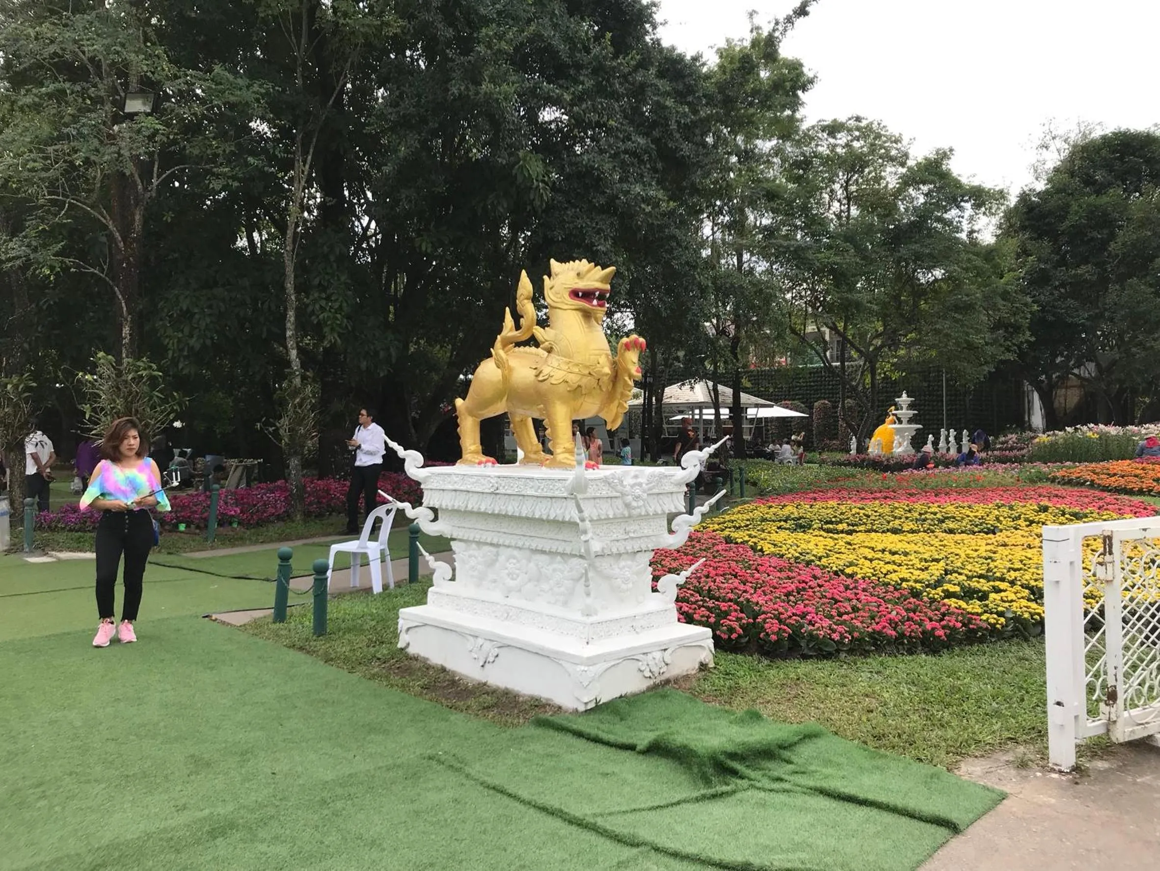 Natural landscape in Bann Tawan Hostel Chiang Rai