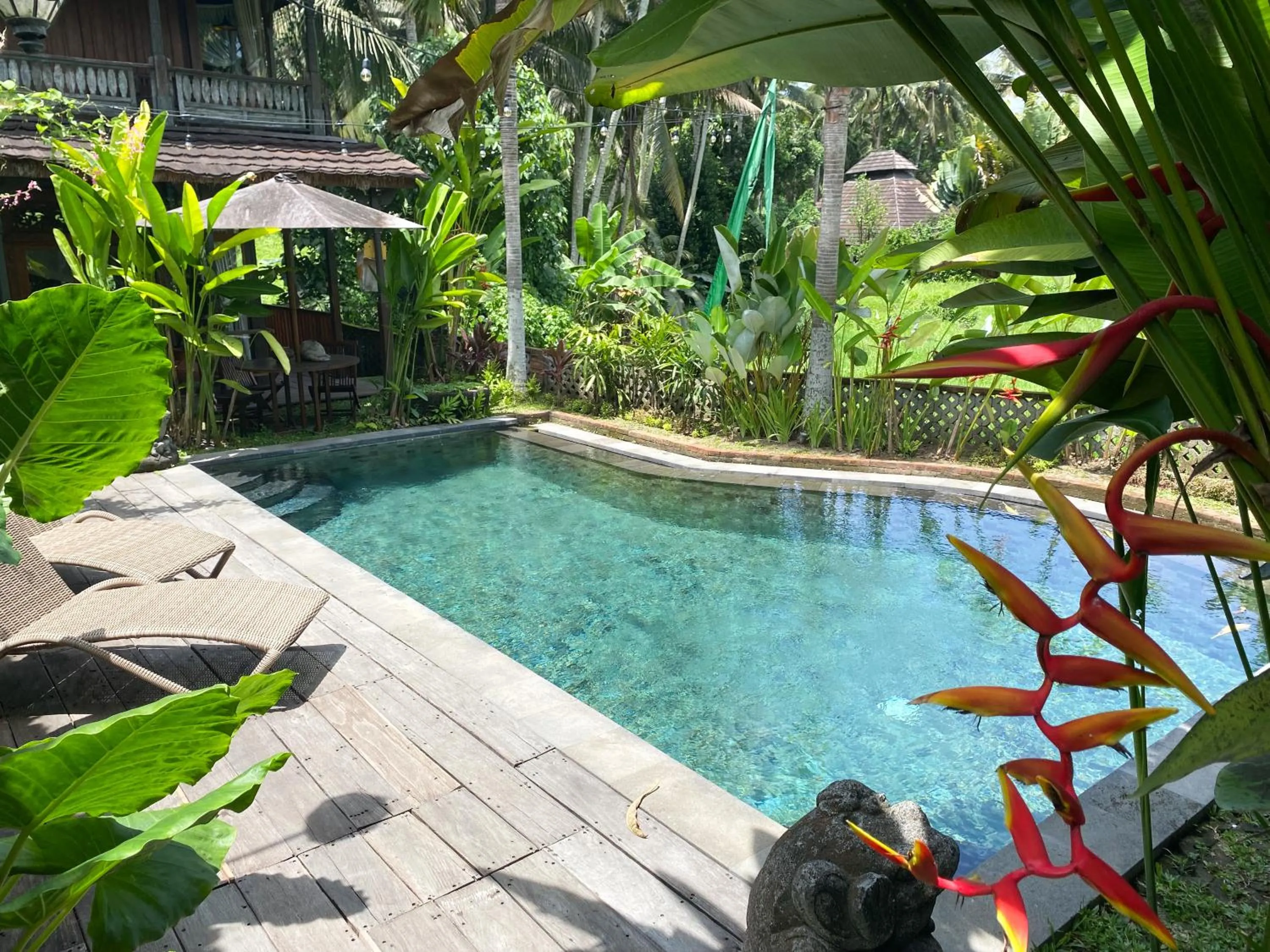 Pool view in Gusde Tranquil Villas by EPS