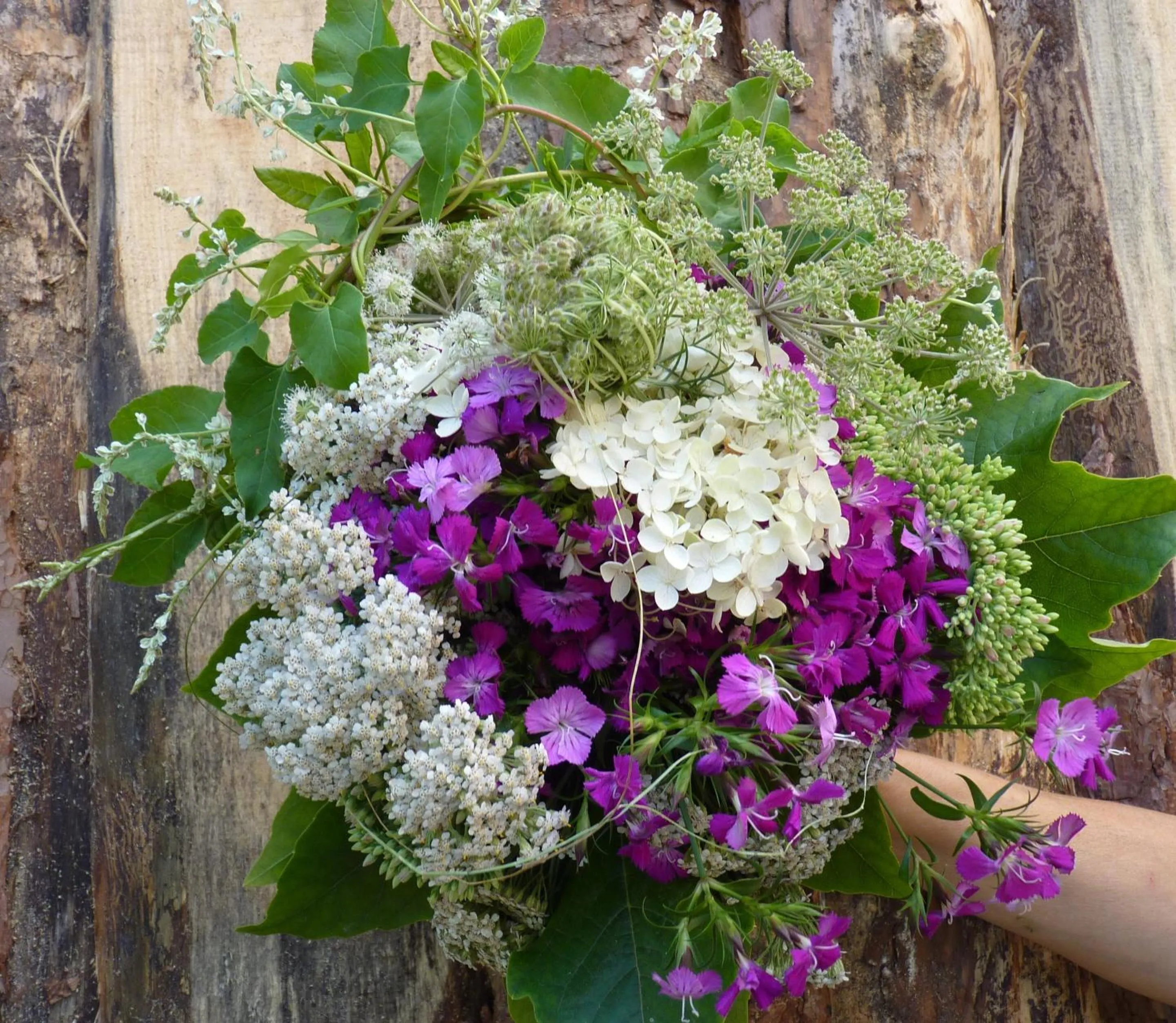 Garden in Hotel & Restaurant Schloss Weißenburg