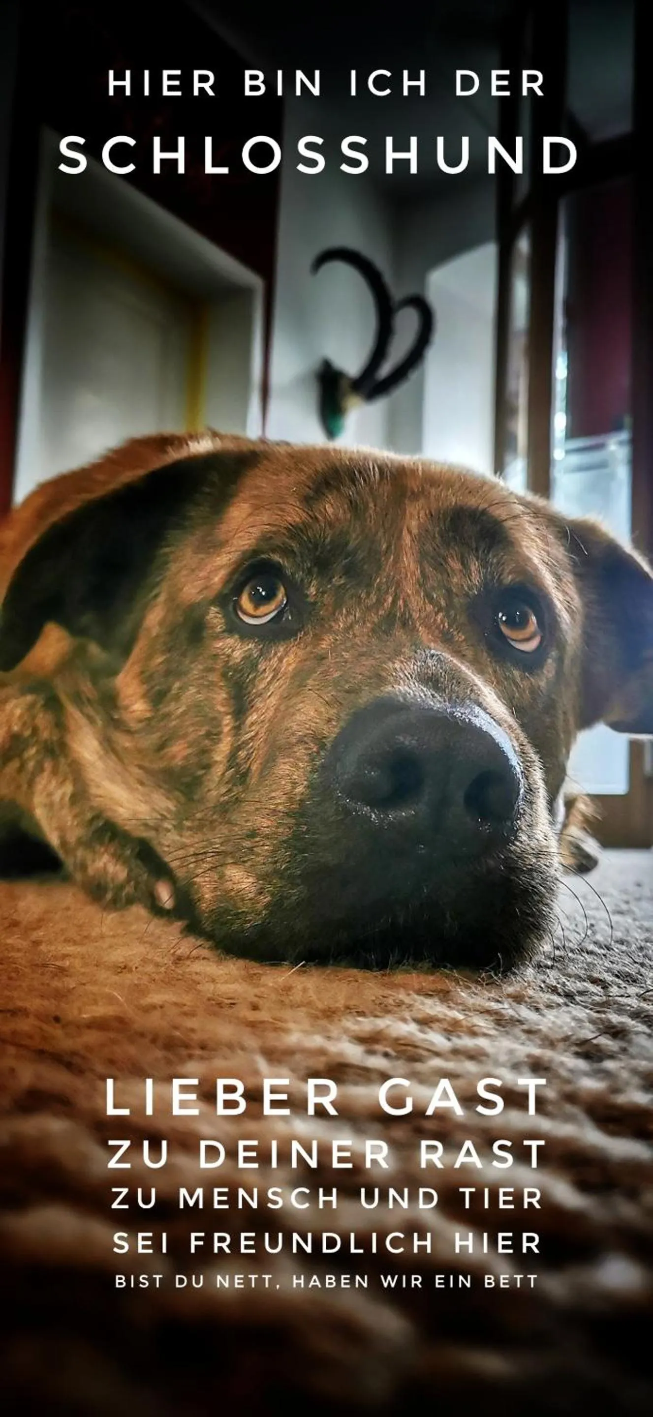 Property building in Hotel & Restaurant Schloss Weißenburg