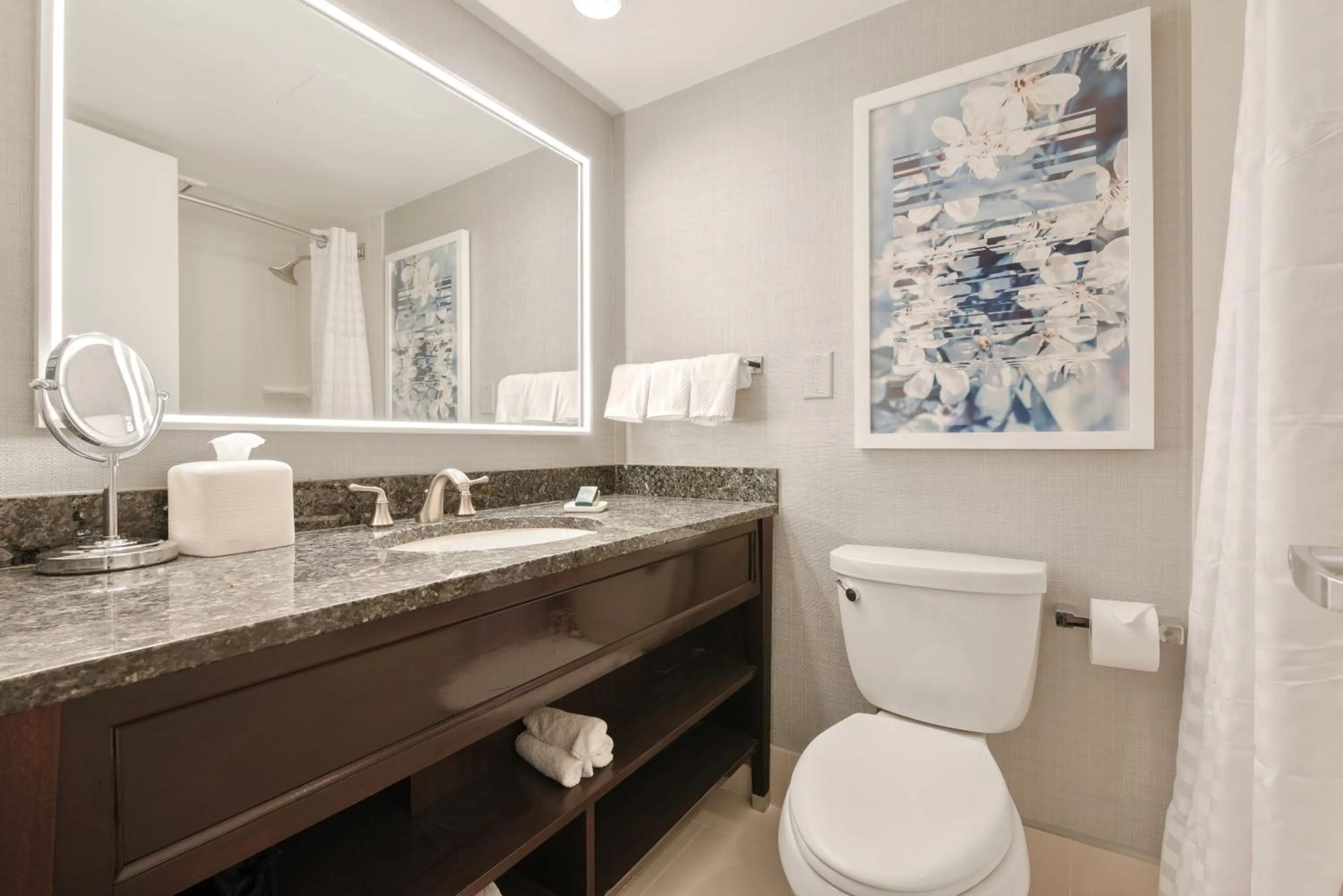 Bathroom in Capital Hilton