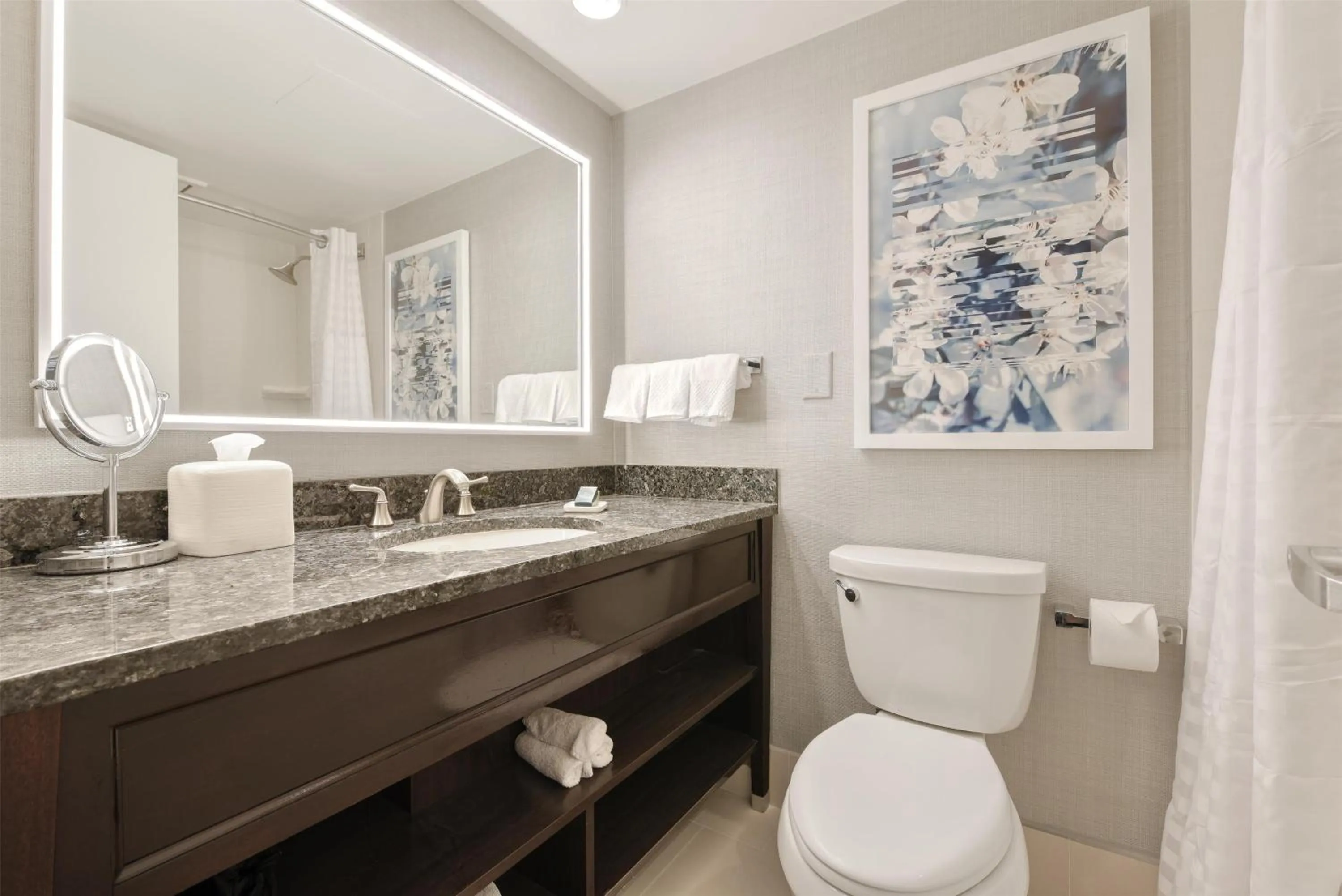 Bathroom in Capital Hilton