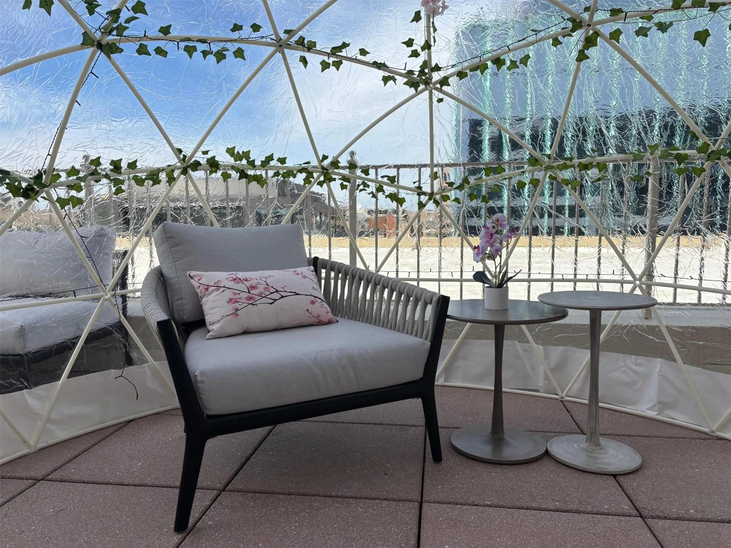 View (from property/room) in Capital Hilton