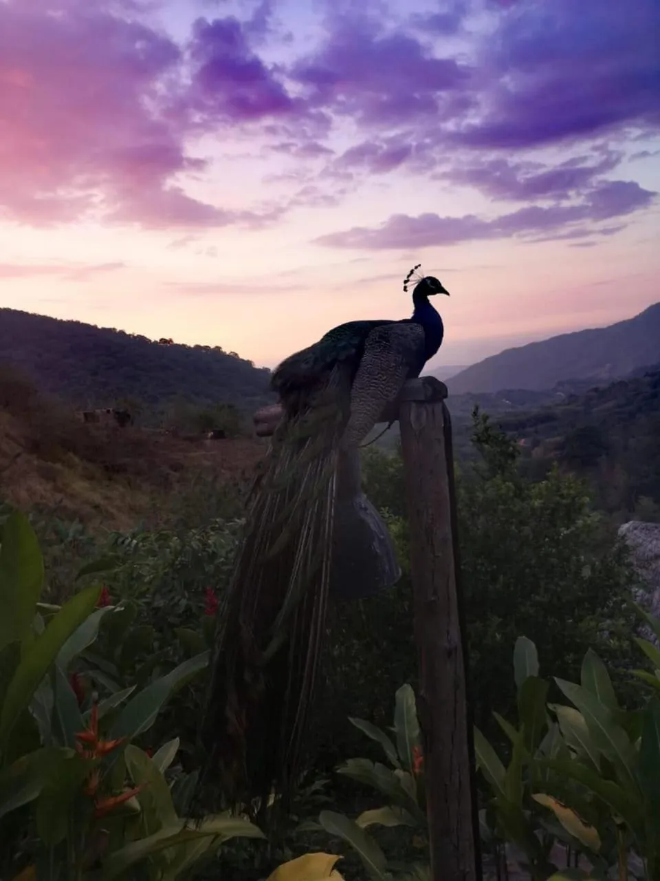 Spring in Reserva Natural Tierra Adentro