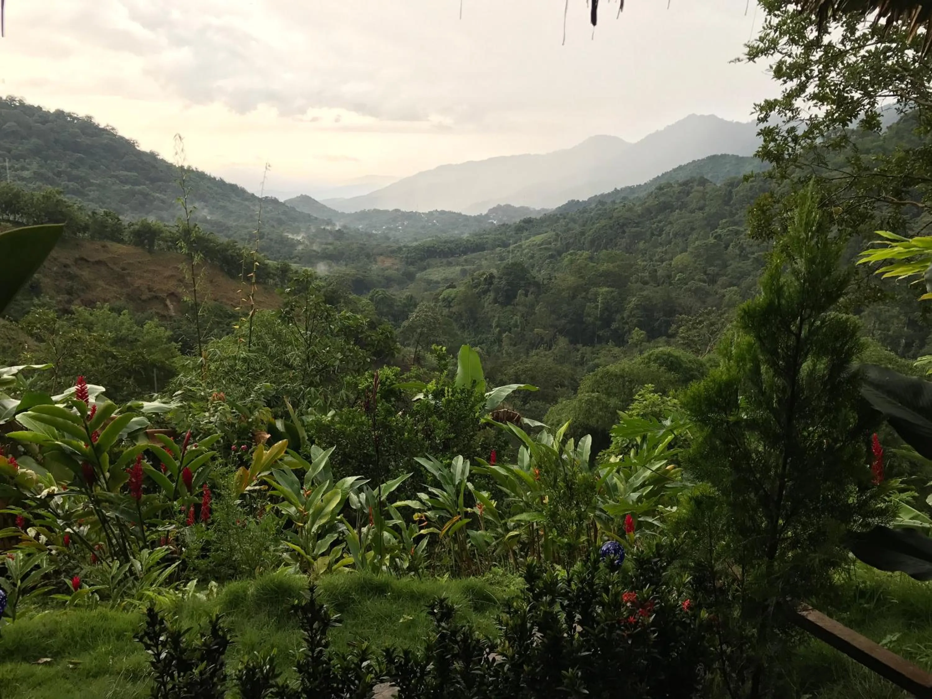 Garden view in Reserva Natural Tierra Adentro