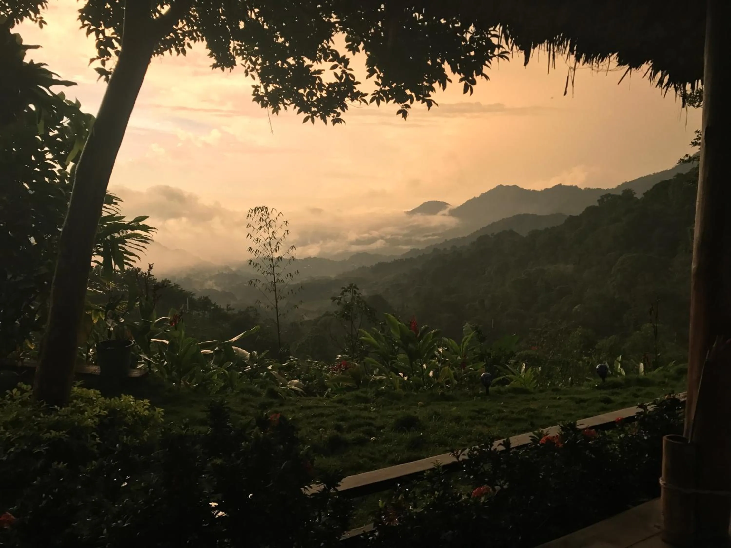 Garden in Reserva Natural Tierra Adentro