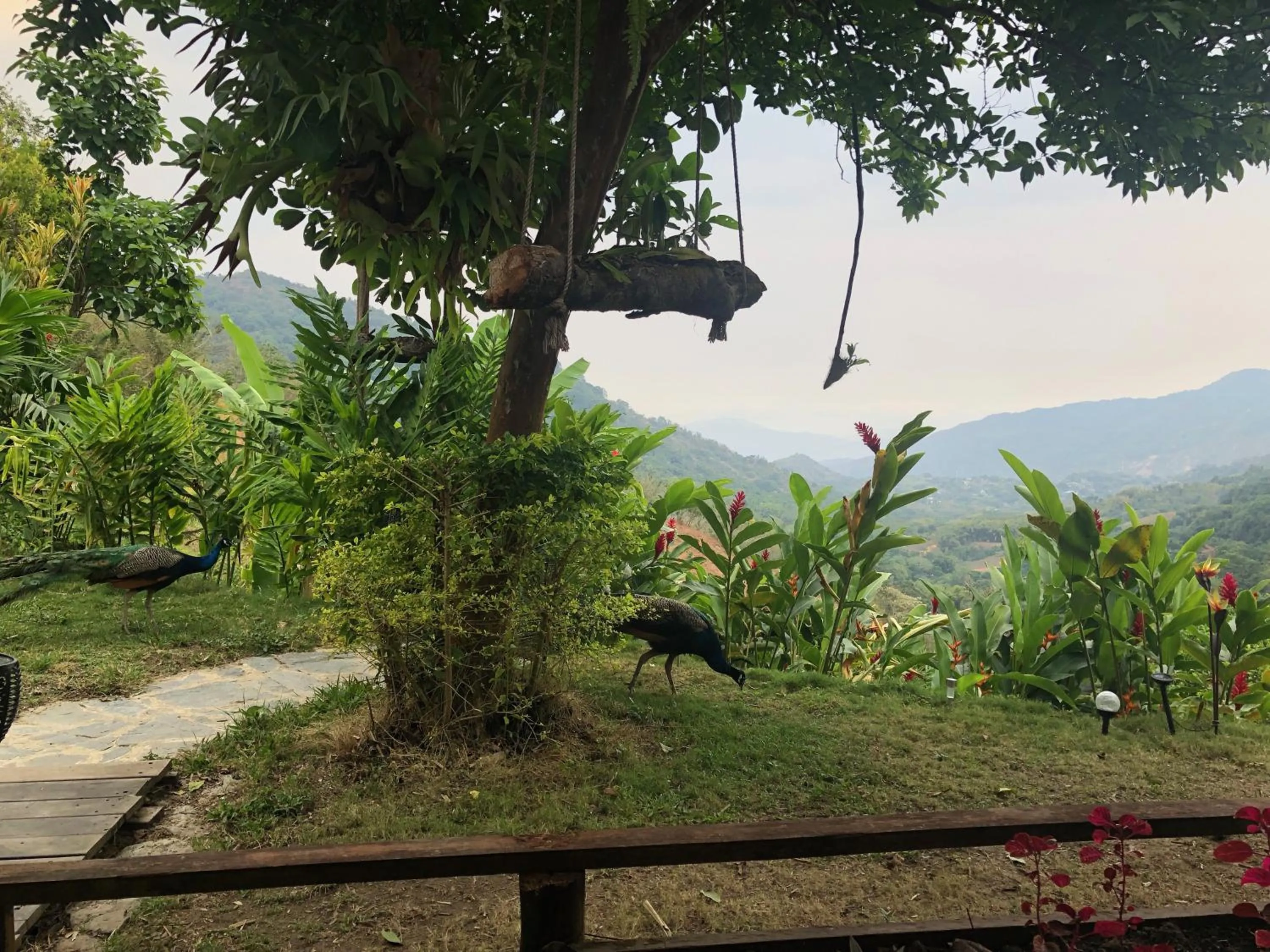 Restaurant/places to eat in Reserva Natural Tierra Adentro